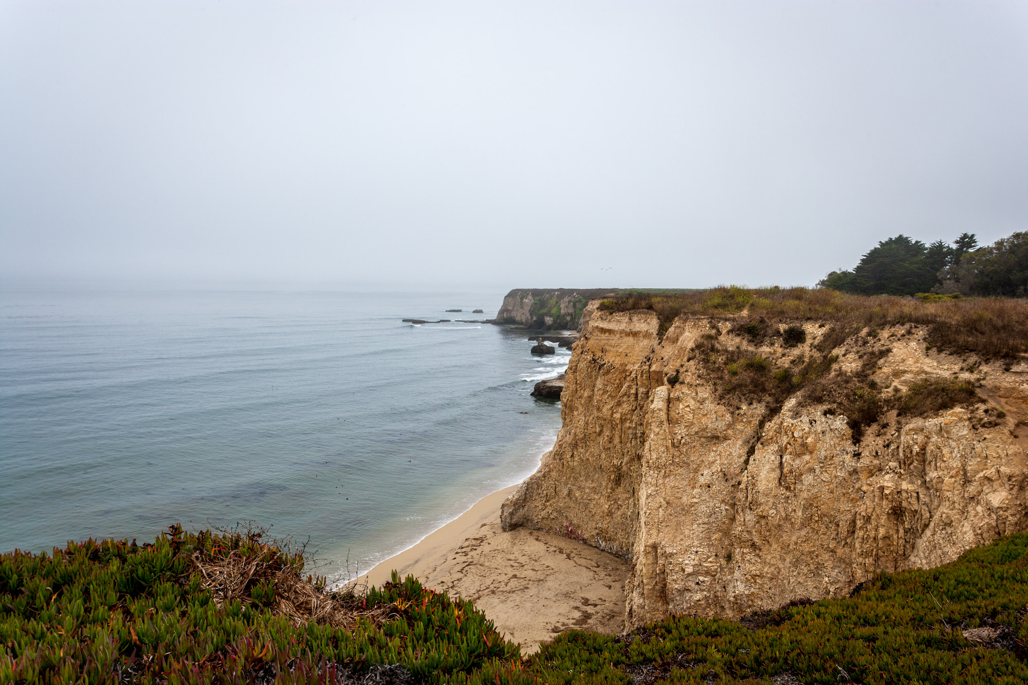 Canon EOS-1Ds Mark II sample photo. Davenport photography