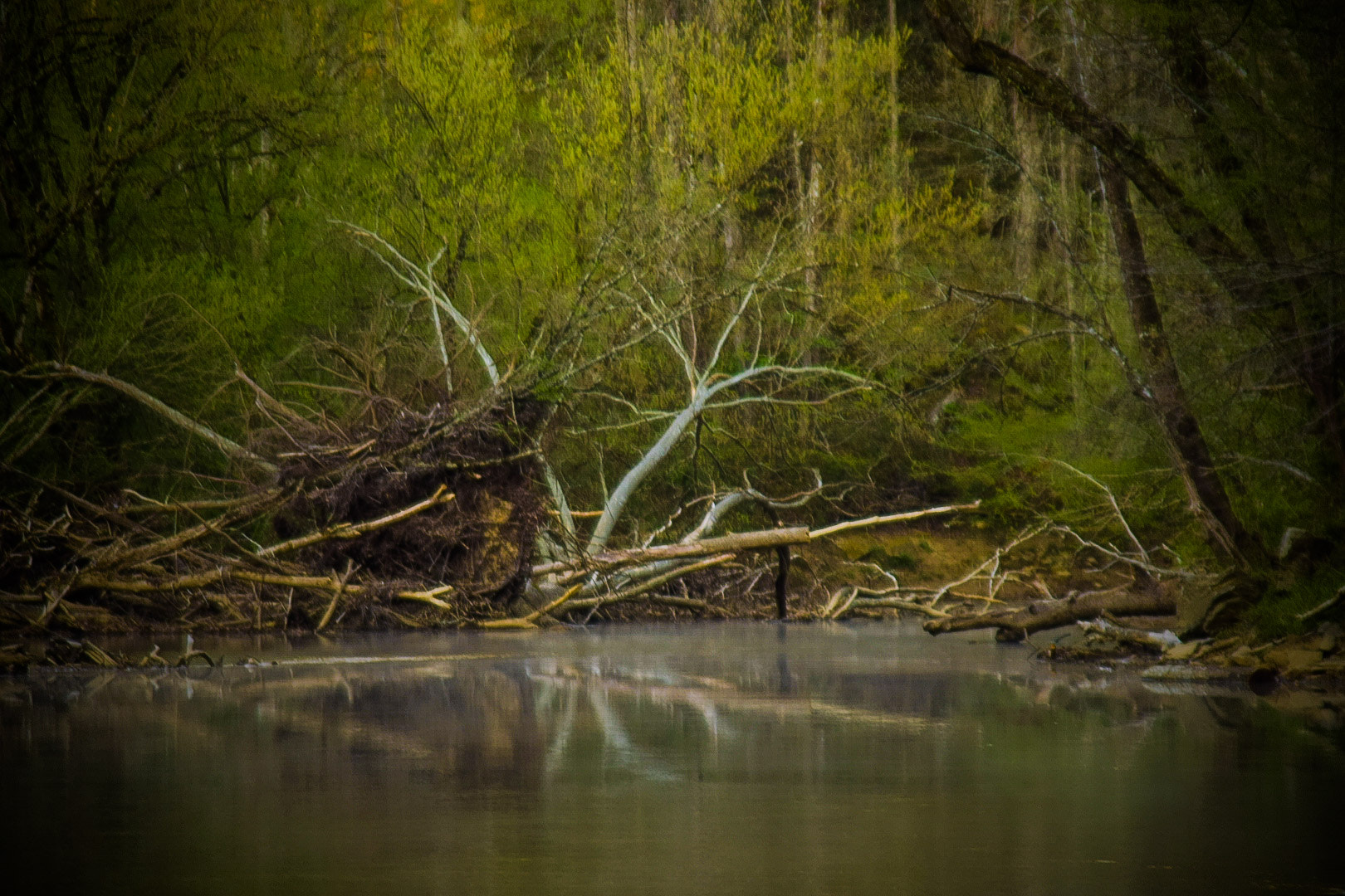 Sigma 28-200mm F3.5-5.6 Compact Aspherical Hyperzoom Macro sample photo. Bliss photography