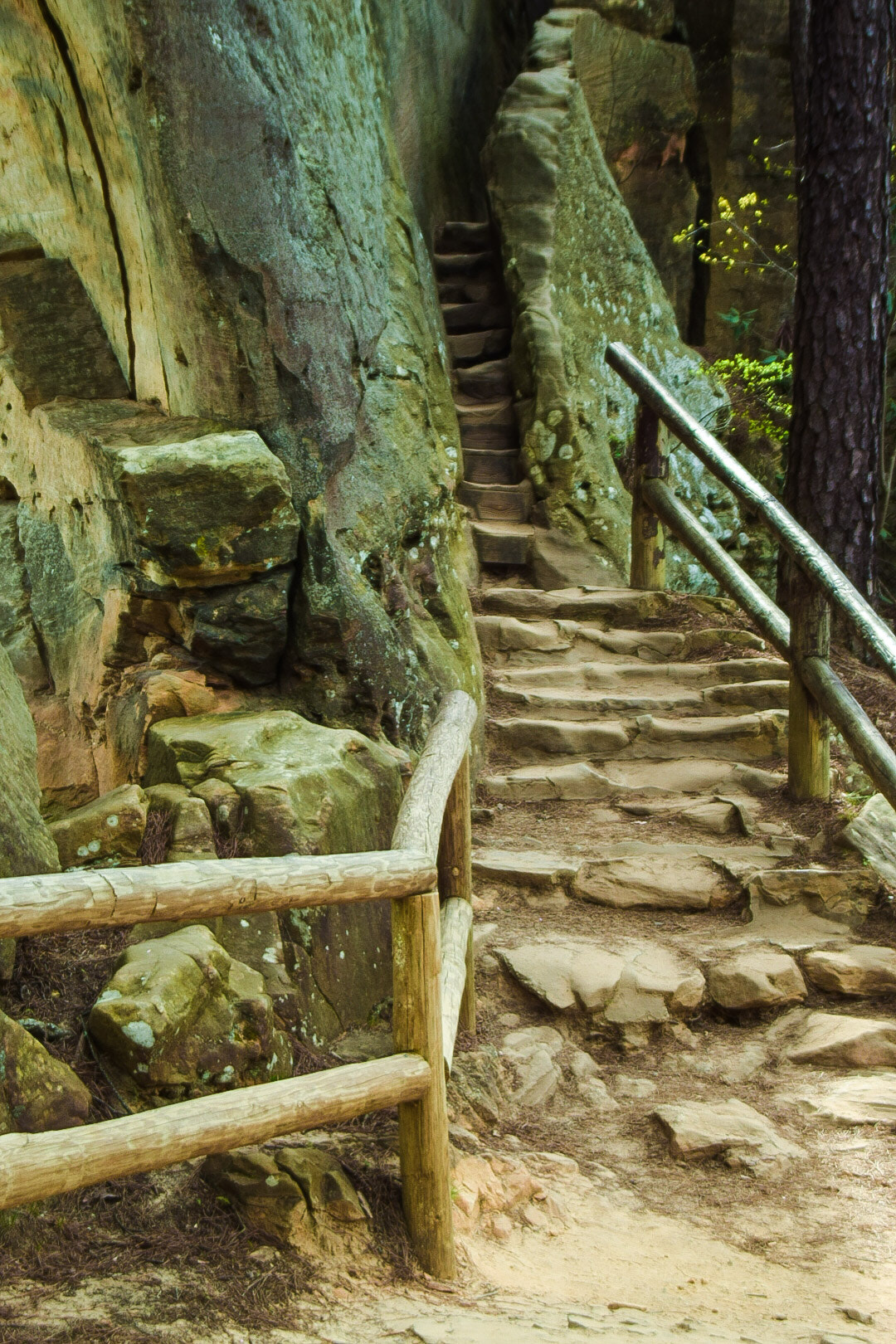 Nikon D3300 + Sigma 28-200mm F3.5-5.6 Compact Aspherical Hyperzoom Macro sample photo. Natural bridge staircase photography