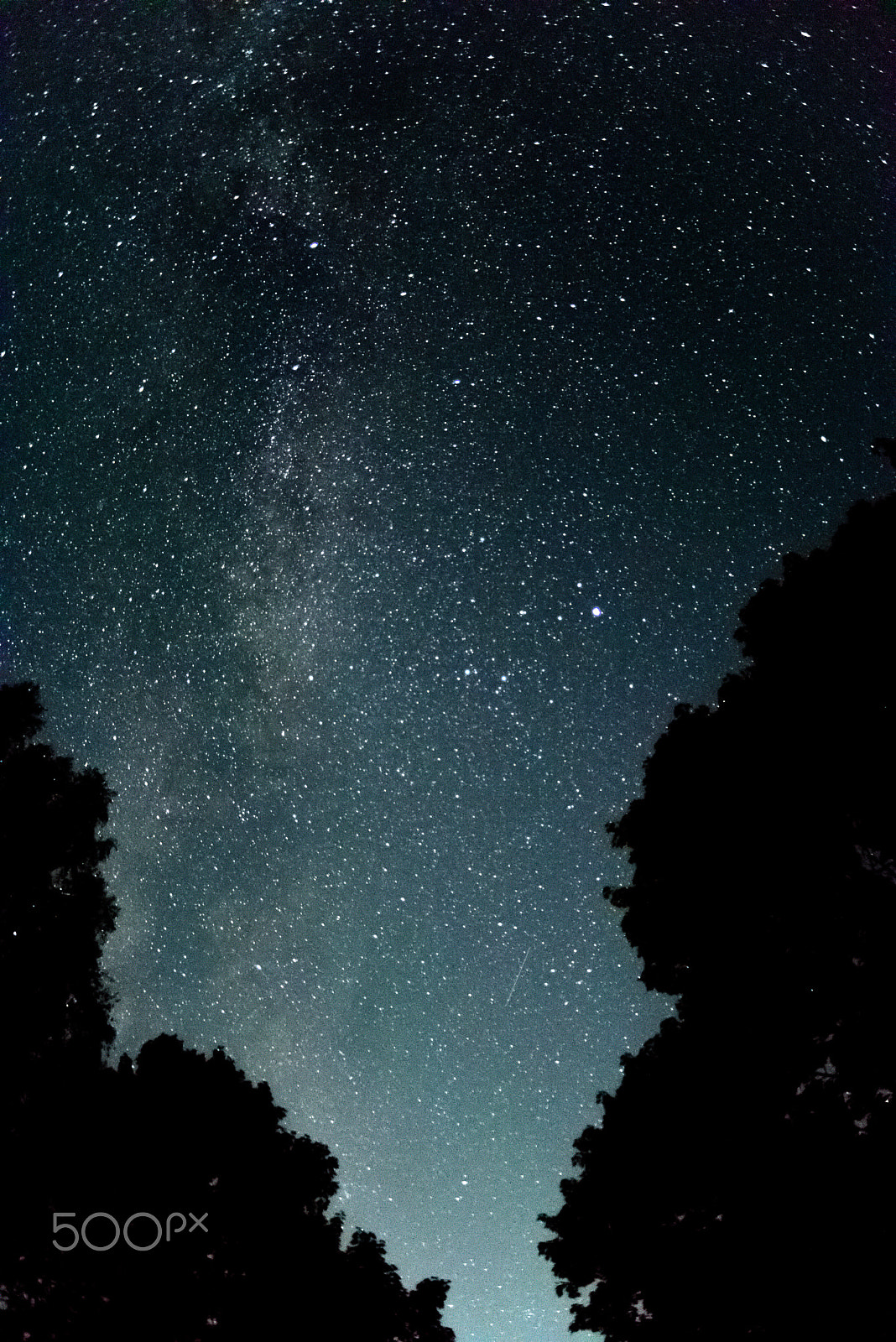 AF Zoom-Nikkor 28-80mm f/3.3-5.6G sample photo. Shining stars photography