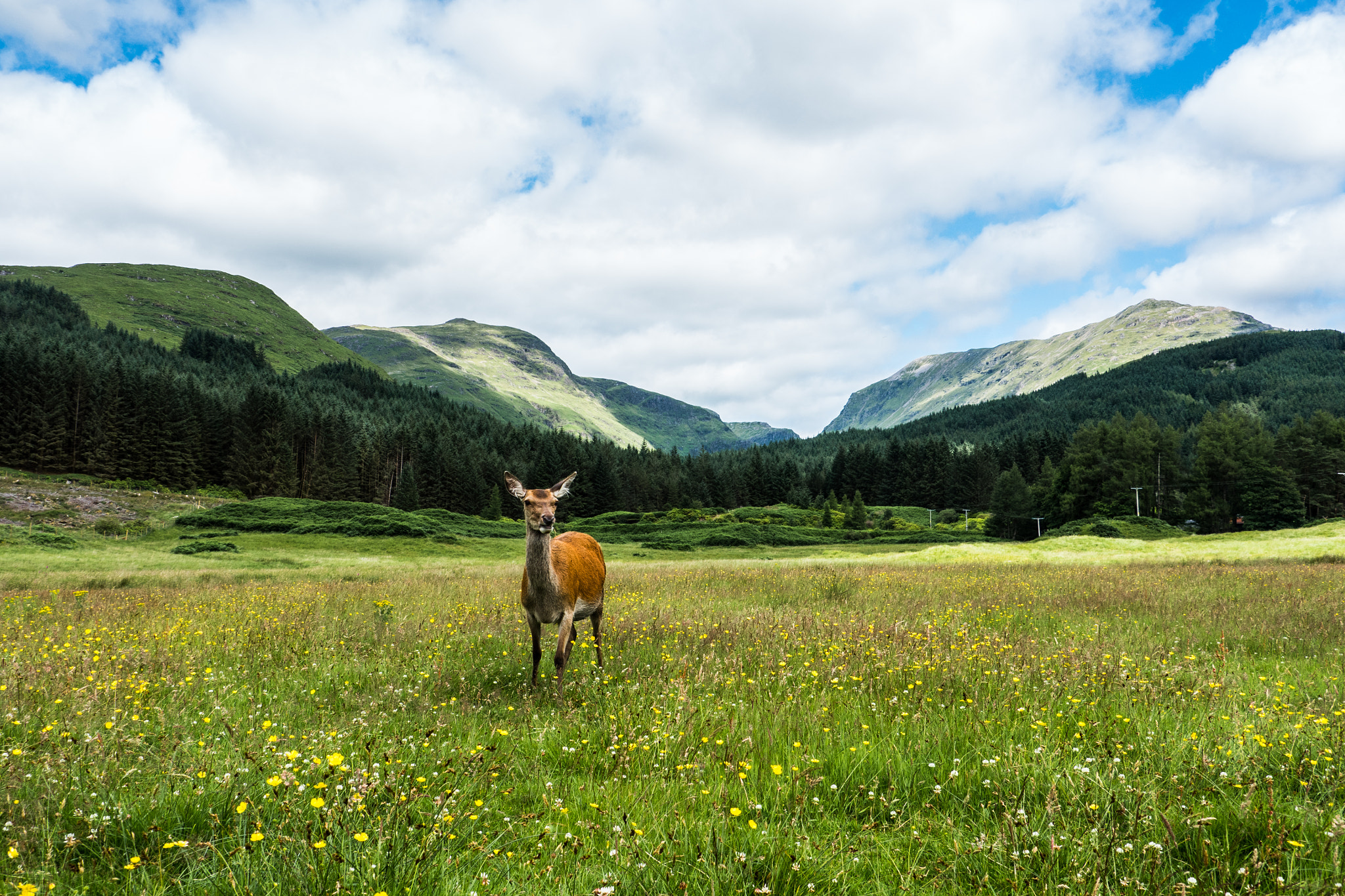 Panasonic Lumix DMC-GH4 sample photo. Glencoe, scotland photography