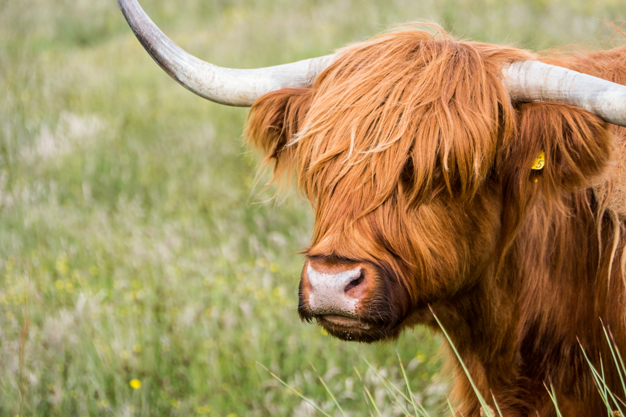 Panasonic Lumix DMC-GH4 sample photo. Isle of skye, scotland photography