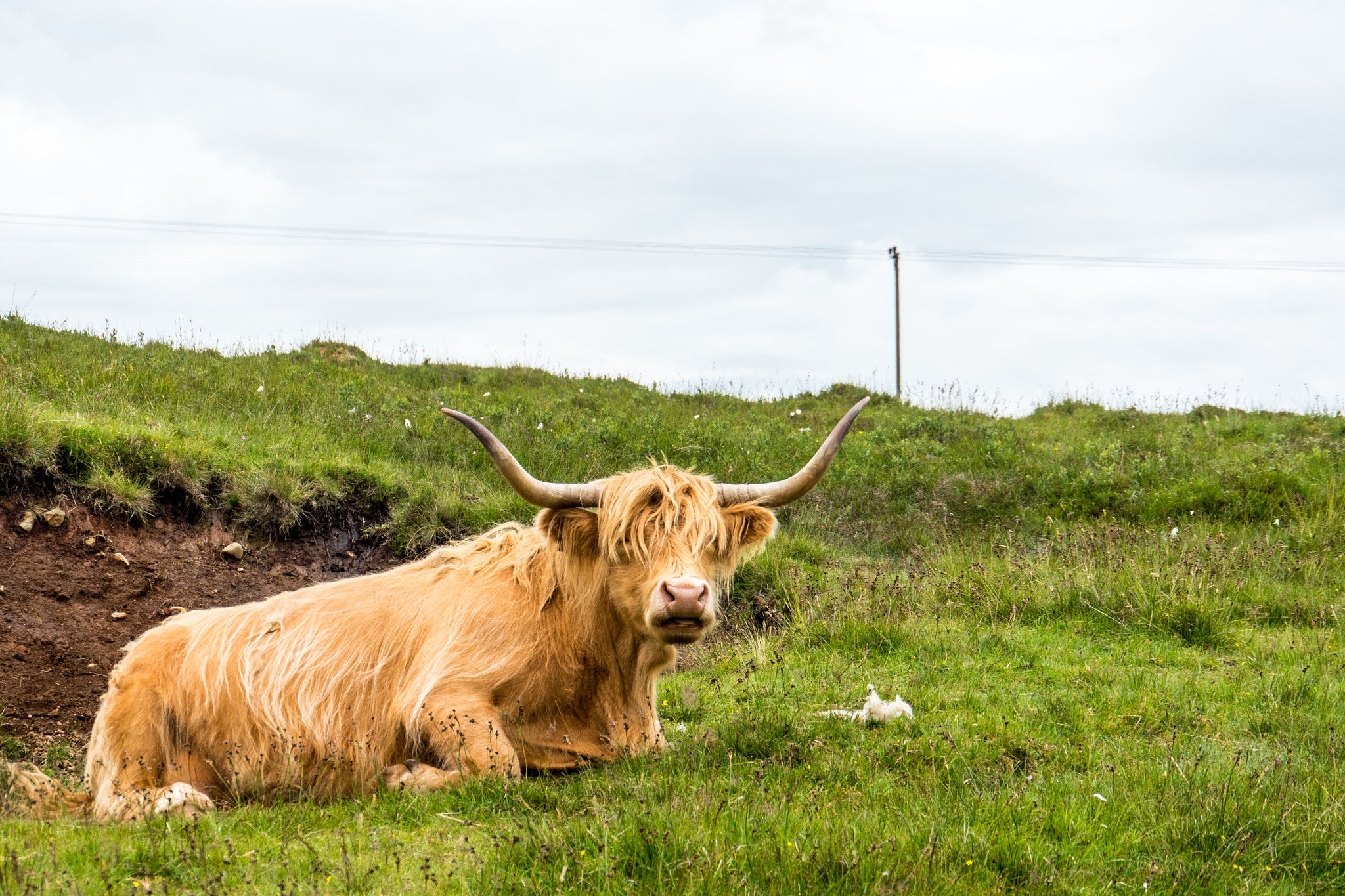 Panasonic Lumix DMC-GH4 sample photo. Isle of skye, scotland photography