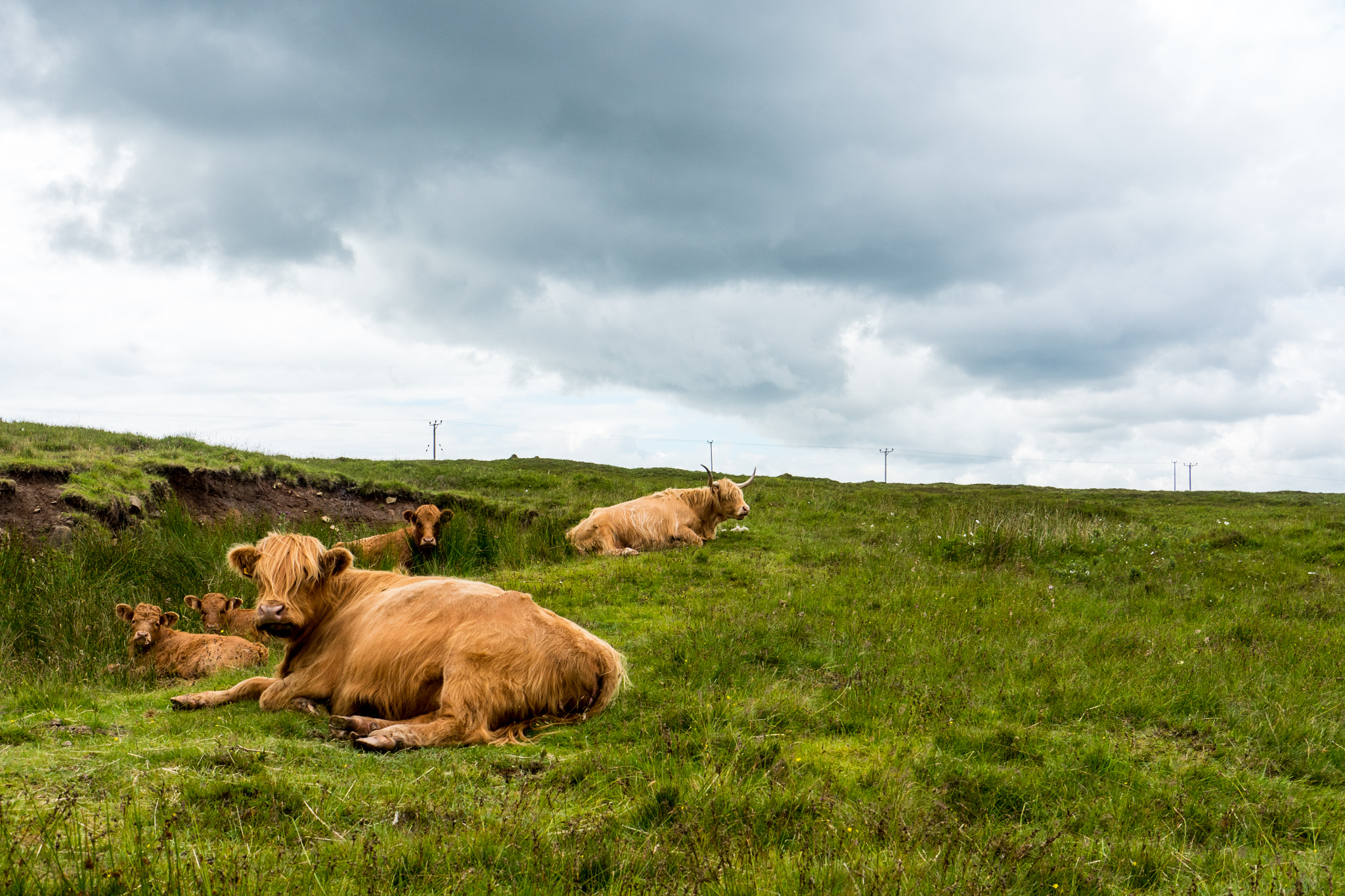 Panasonic Lumix DMC-GH4 sample photo. Isle of skye, scotland photography