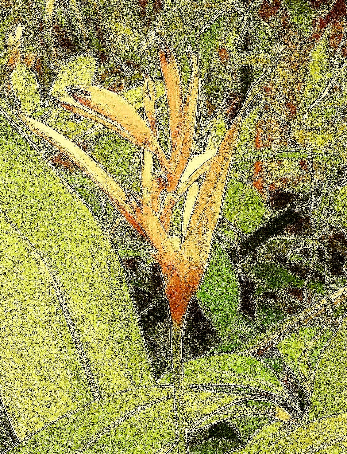 Kodak EASYSHARE CAMERA, M5350 sample photo. Budding photography
