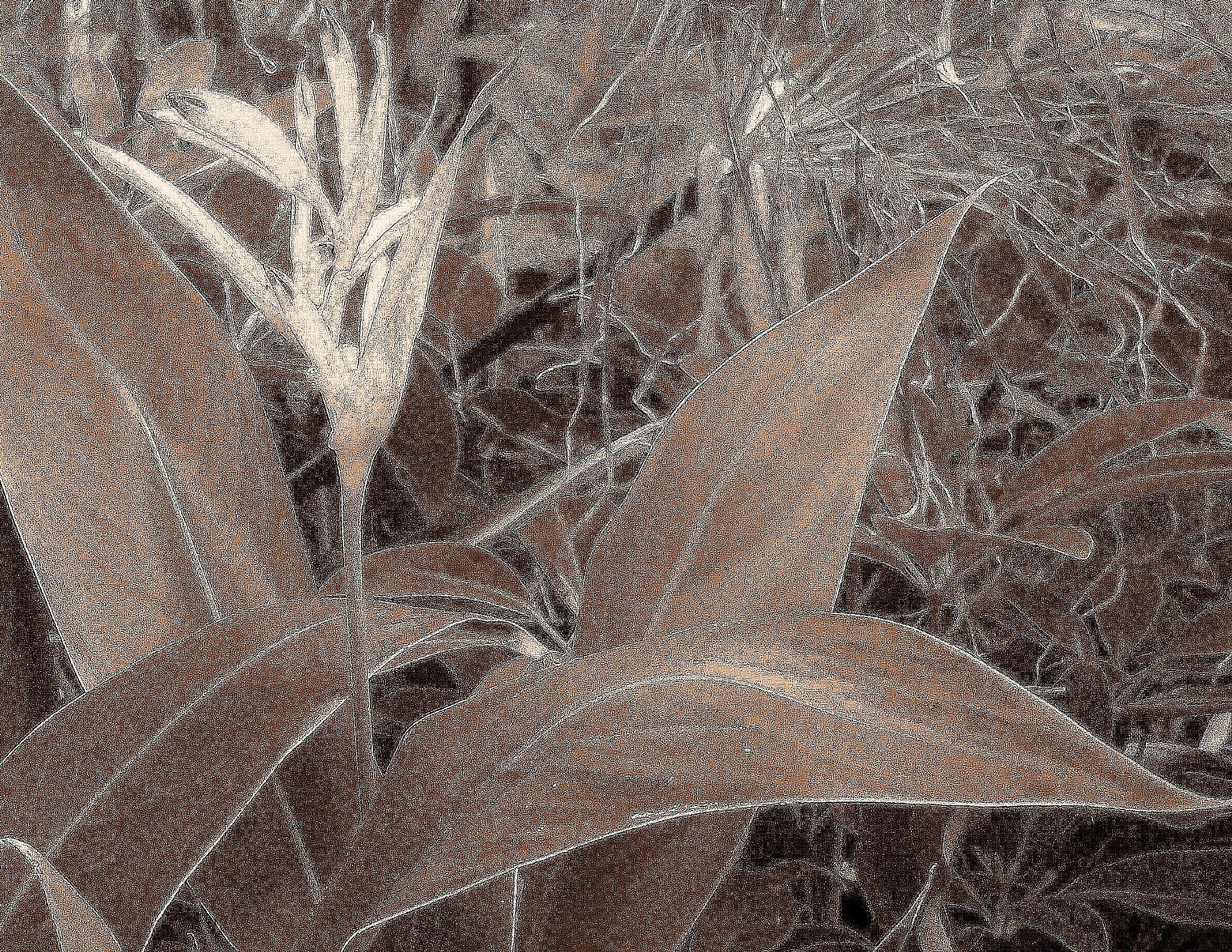 Kodak EASYSHARE CAMERA, M5350 sample photo. My first photography