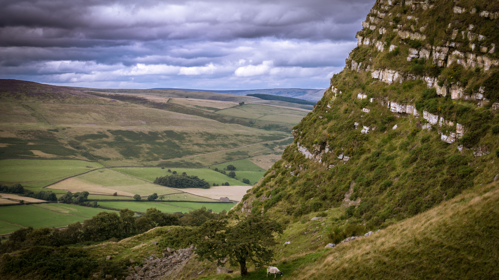 LUMIX G VARIO 12-60/F3.5-5.6 sample photo. Edale photography