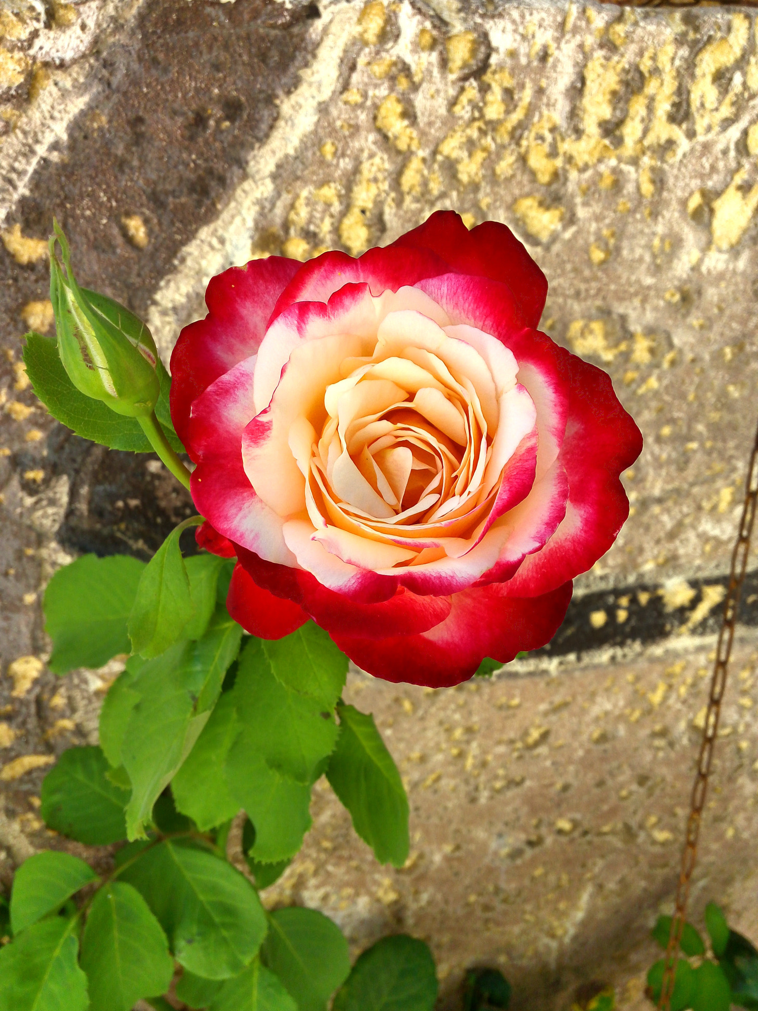 LG G4 STYLUS sample photo