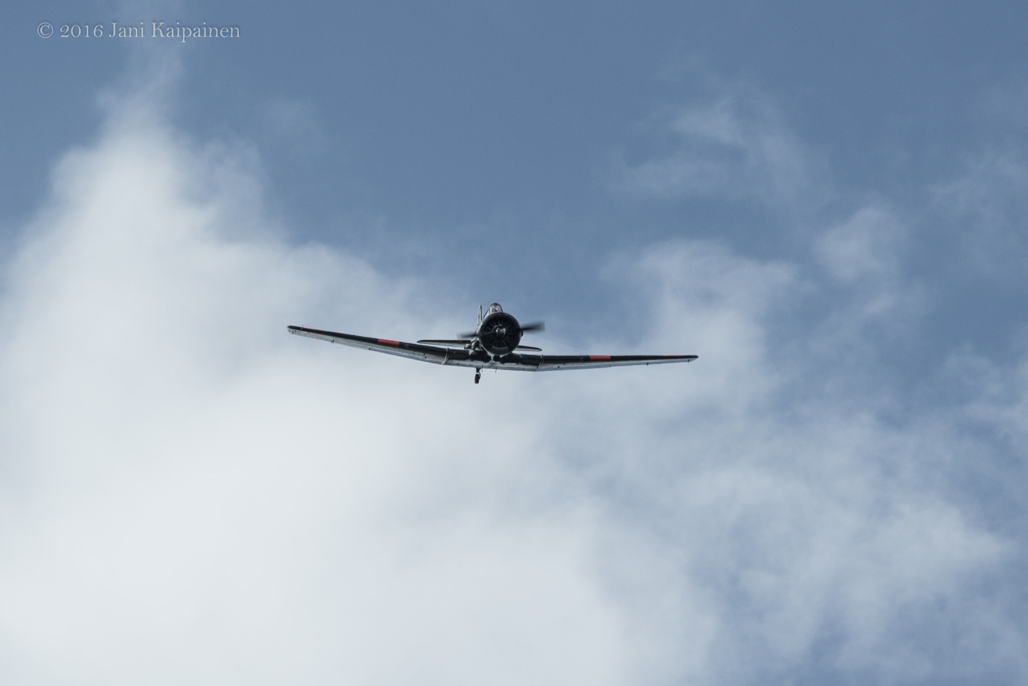 Canon EOS 600D (Rebel EOS T3i / EOS Kiss X5) + Canon EF 70-200mm F4L IS USM sample photo. Menancing photography