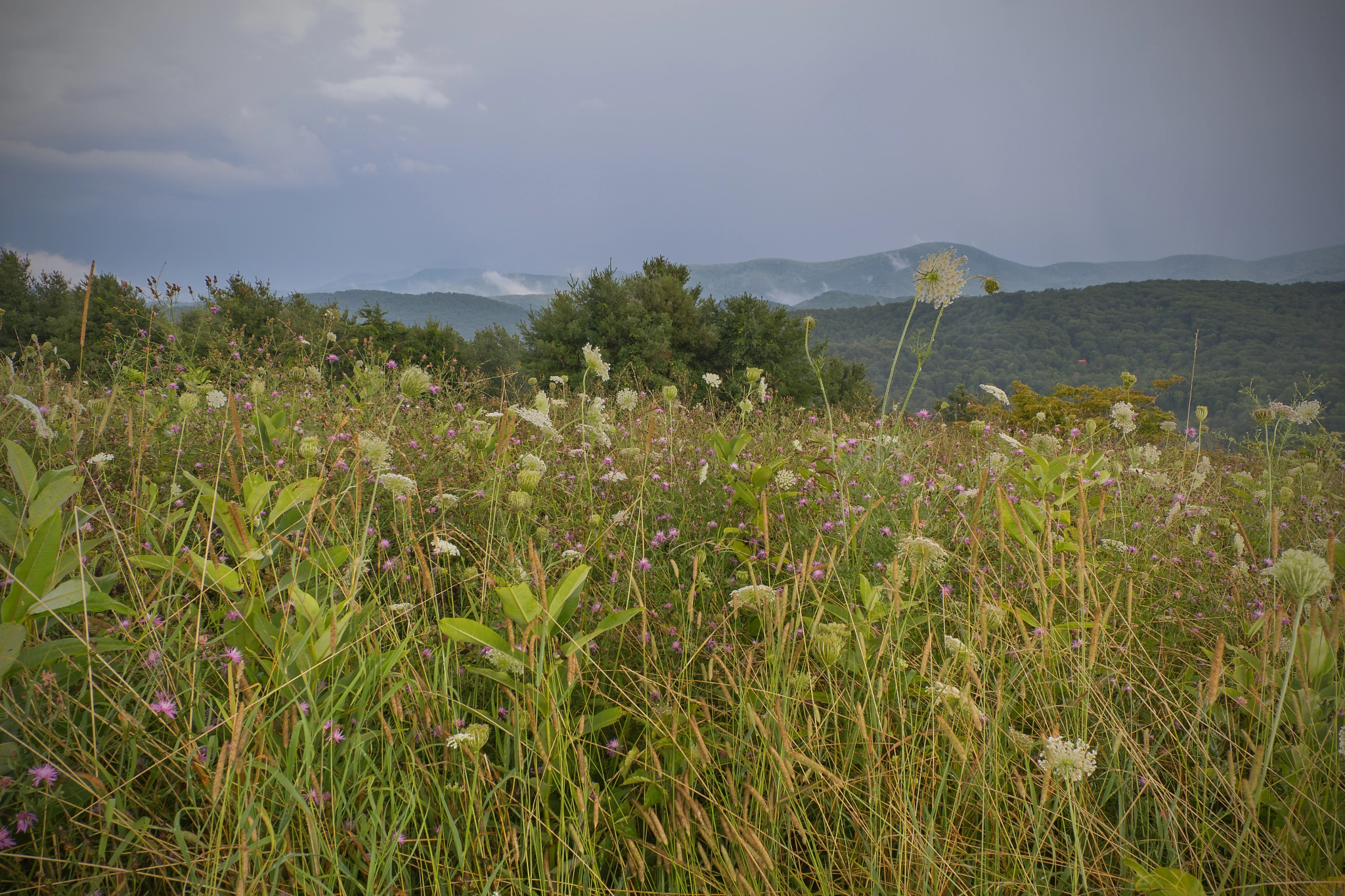 Canon EOS 550D (EOS Rebel T2i / EOS Kiss X4) sample photo. Summer fields and showers photography
