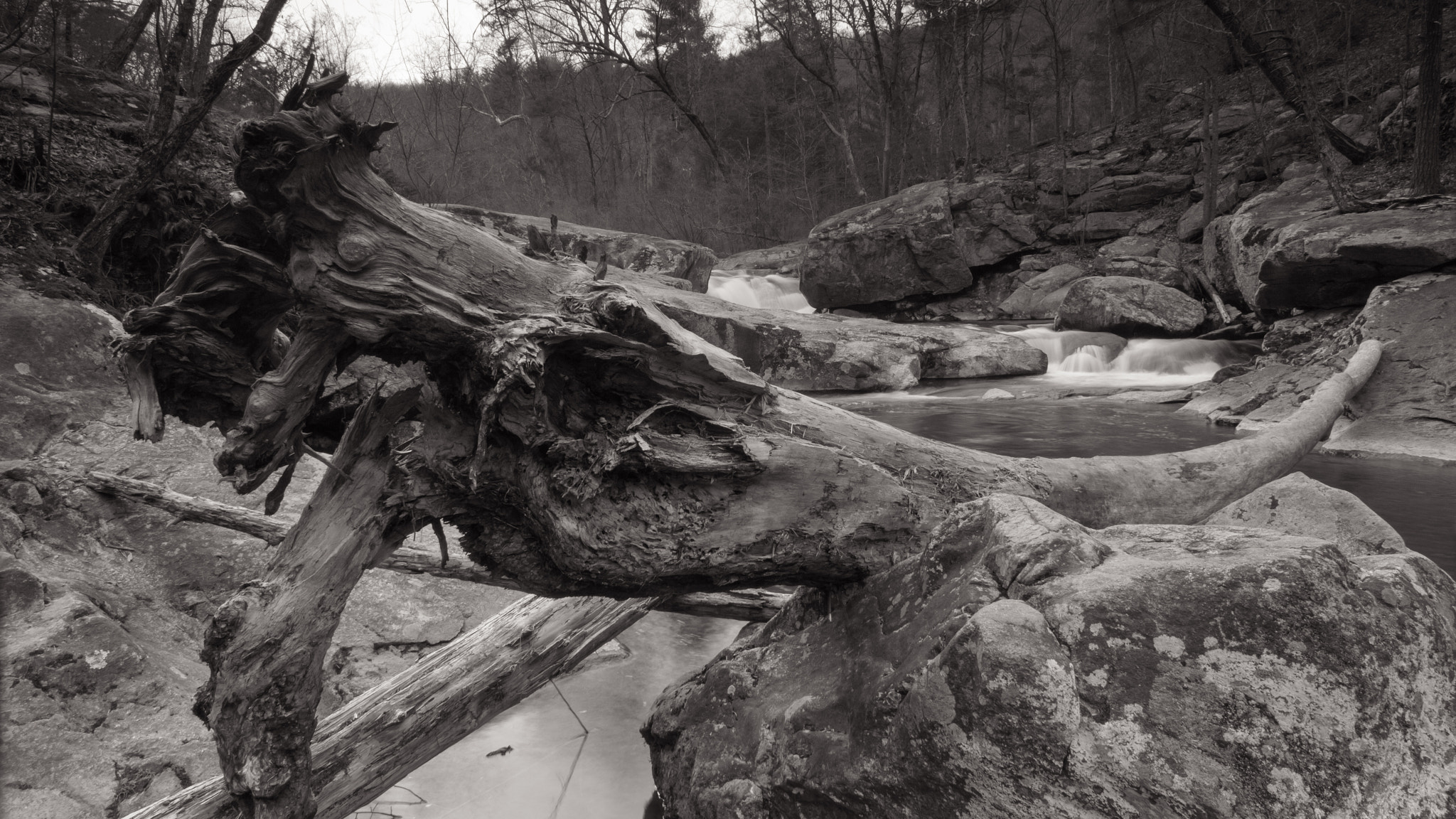 Canon EOS 550D (EOS Rebel T2i / EOS Kiss X4) sample photo. Panther falls photography