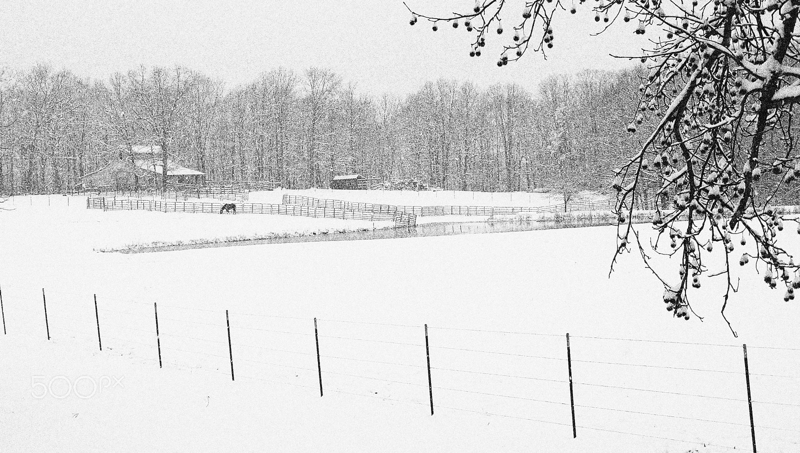 Canon POWERSHOT A650 IS sample photo. Snow in tennessee photography