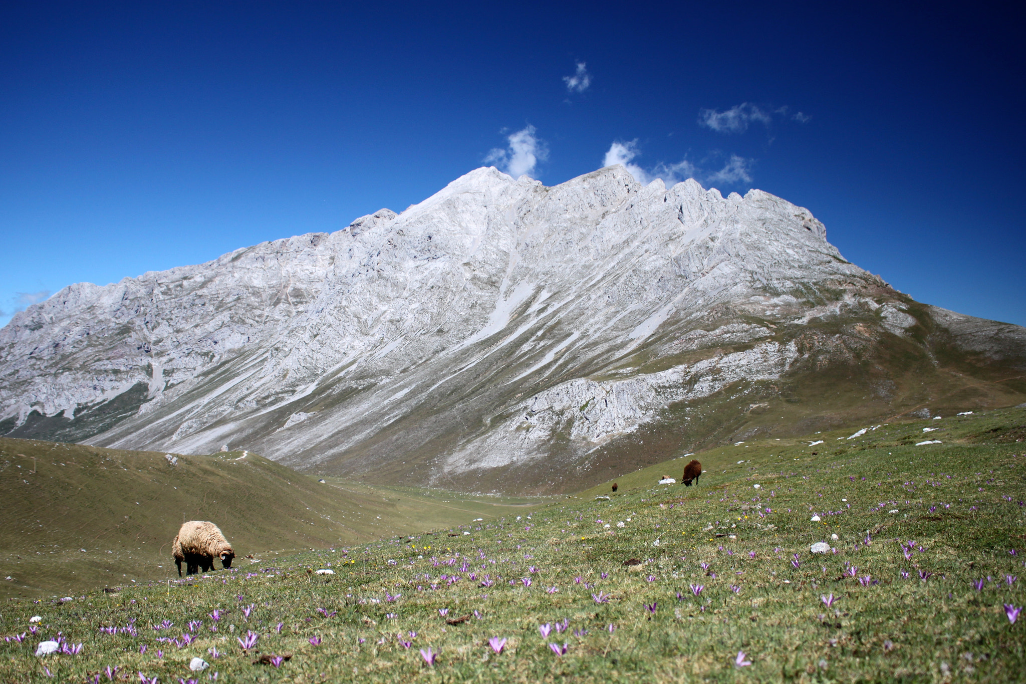 Canon EOS 500D (EOS Rebel T1i / EOS Kiss X3) sample photo. Spanish mountains photography