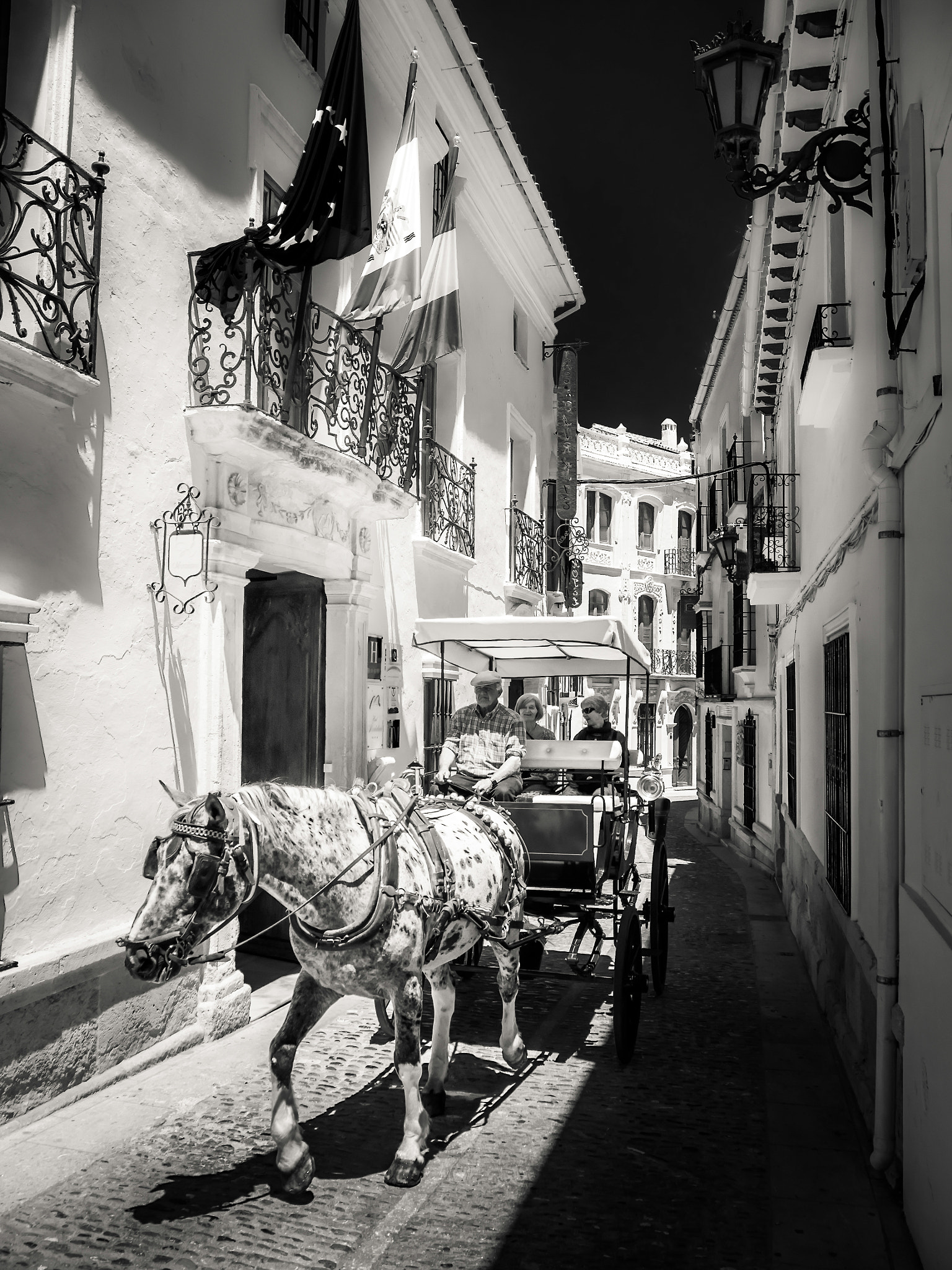 Olympus OM-D E-M1 sample photo. Tourists enjoying a ride in a horse drawn carriage in ronda photography