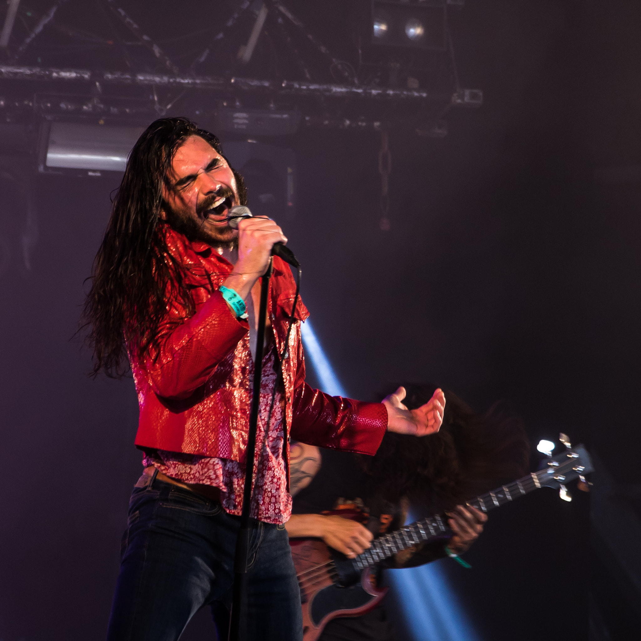 Sigma 17-70mm F2.8-4 DC Macro OS HSM sample photo. Crobot, hellfest 2016 photography