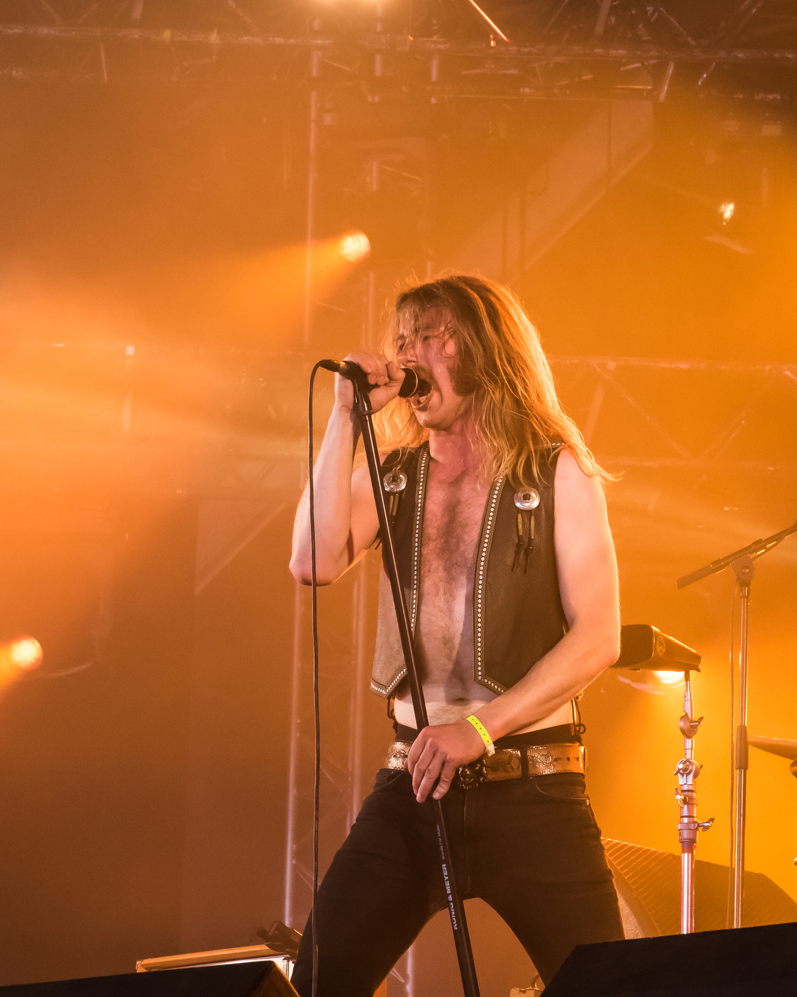 Sigma 17-70mm F2.8-4 DC Macro OS HSM sample photo. Death alley, hellfest 2016 photography