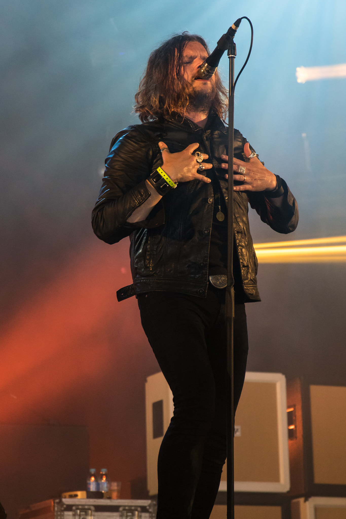 Sigma 17-70mm F2.8-4 DC Macro OS HSM sample photo. Rival sons, hellfest 2016 photography