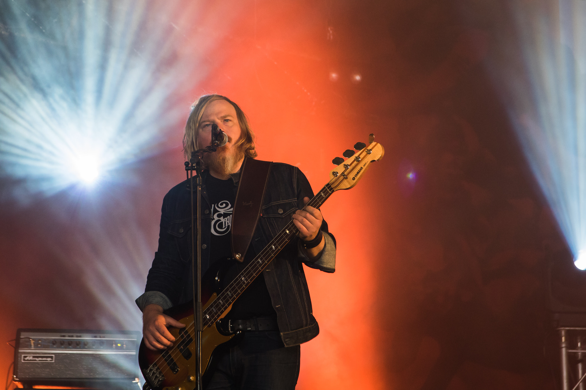 Sigma 17-70mm F2.8-4 DC Macro OS HSM sample photo. Rival sons, hellfest 2016 photography