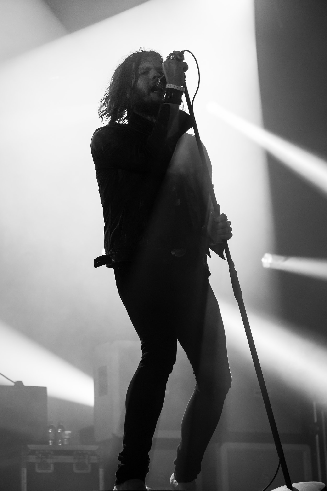 Sigma 17-70mm F2.8-4 DC Macro OS HSM sample photo. Rival sons, hellfest 2016 photography