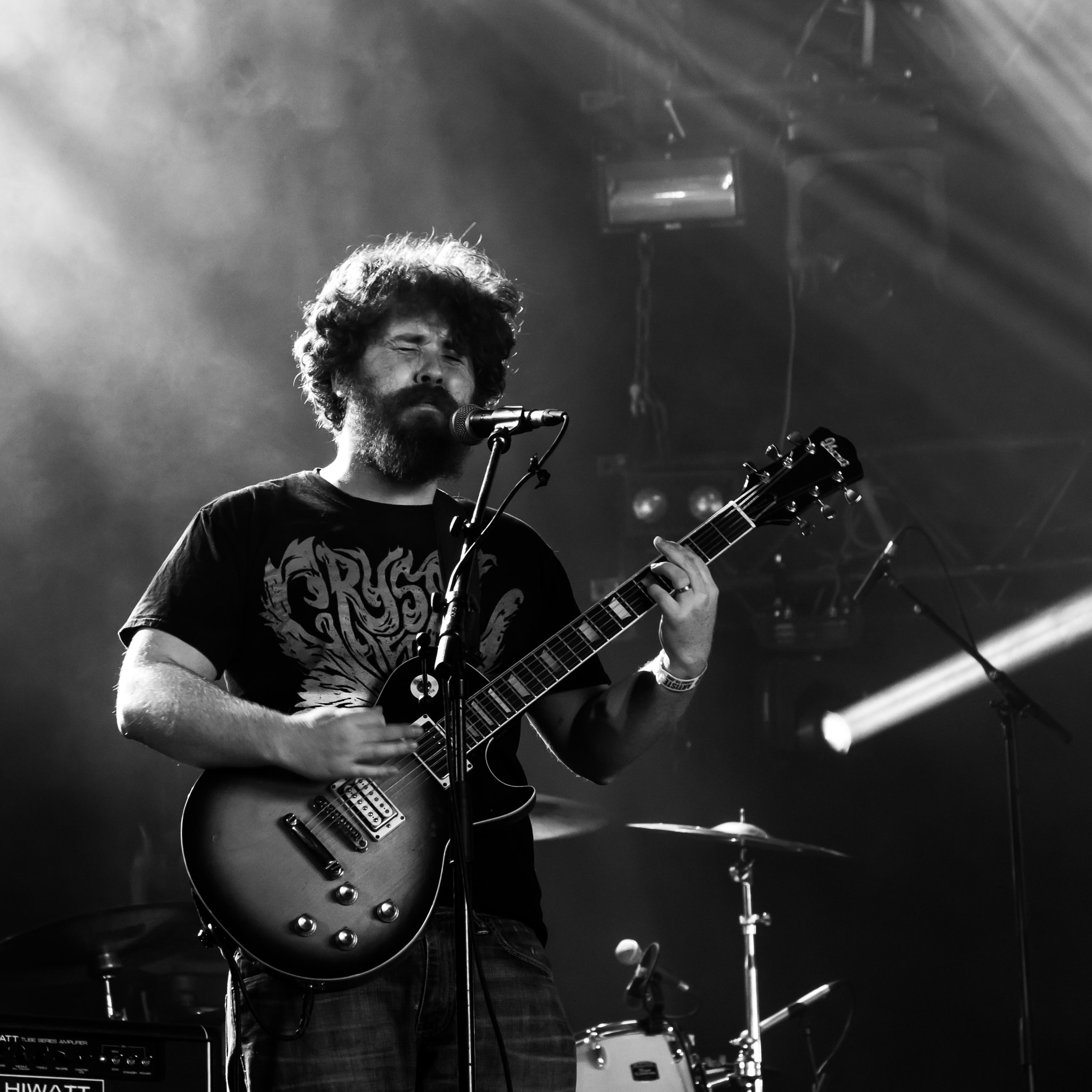 Sigma 17-70mm F2.8-4 DC Macro OS HSM sample photo. Stonebirds, hellfest 2016 photography