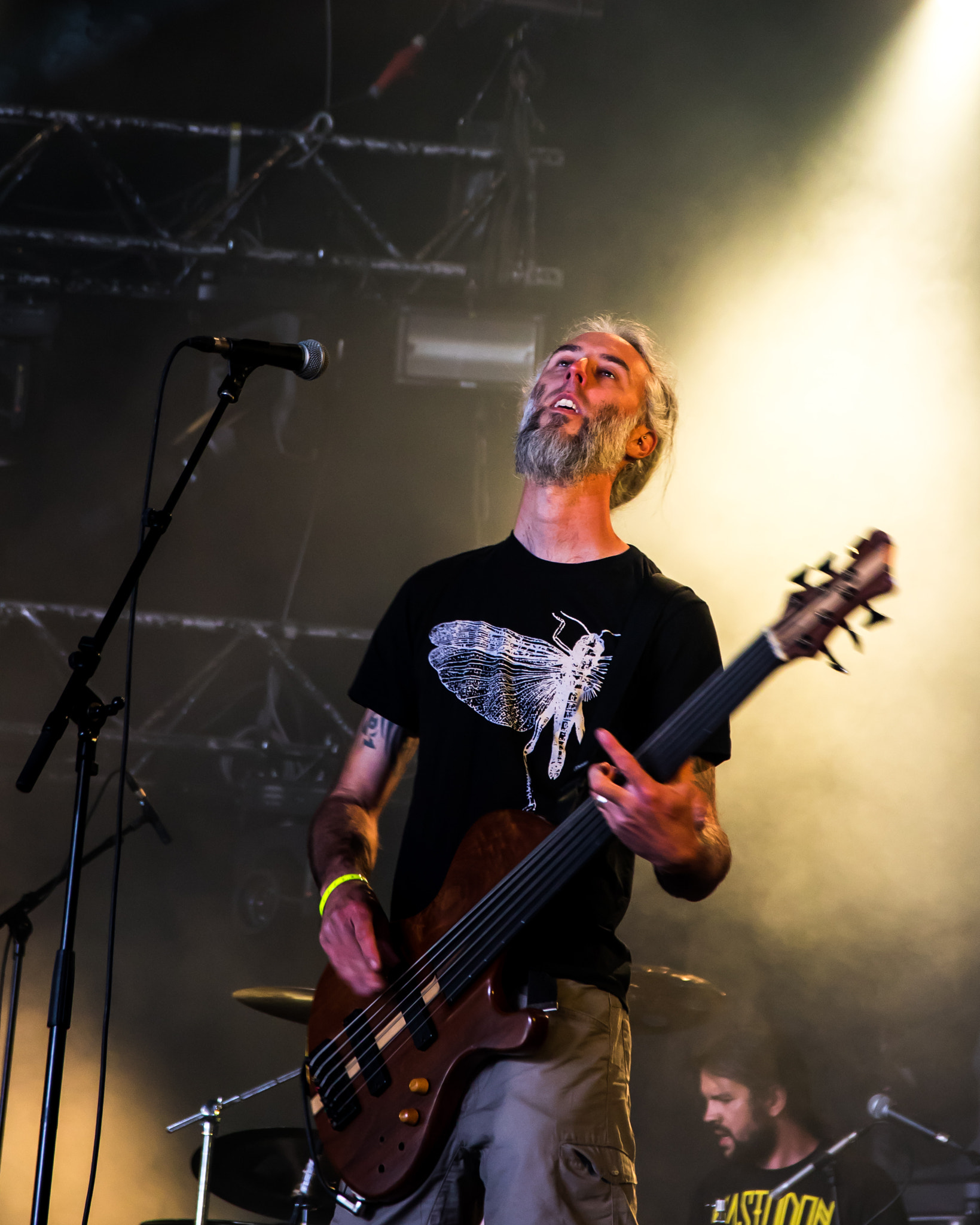 Sigma 17-70mm F2.8-4 DC Macro OS HSM sample photo. Stonebirds, hellfest 2016 photography