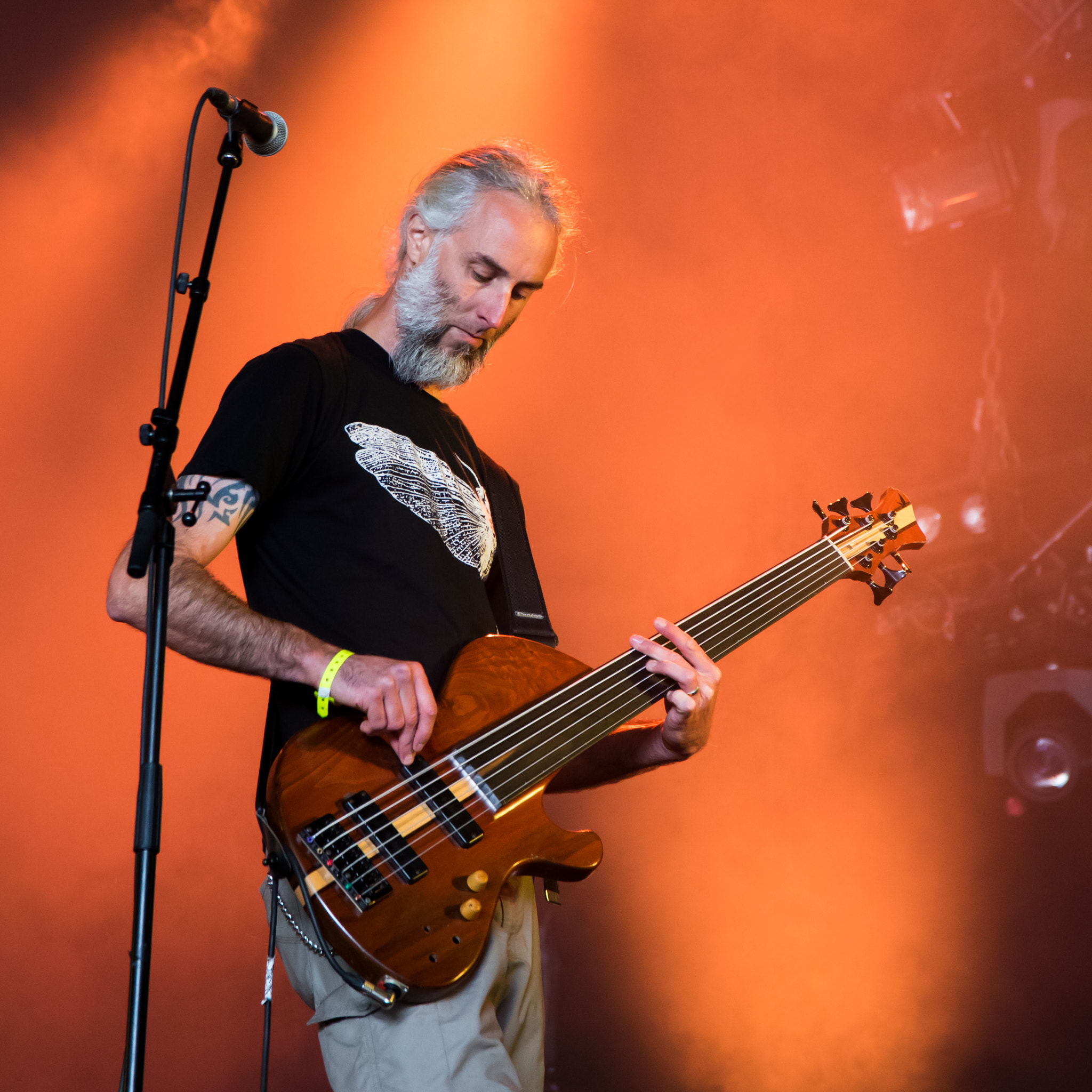 Sigma 17-70mm F2.8-4 DC Macro OS HSM sample photo. Stonebirds, hellfest 2016 photography