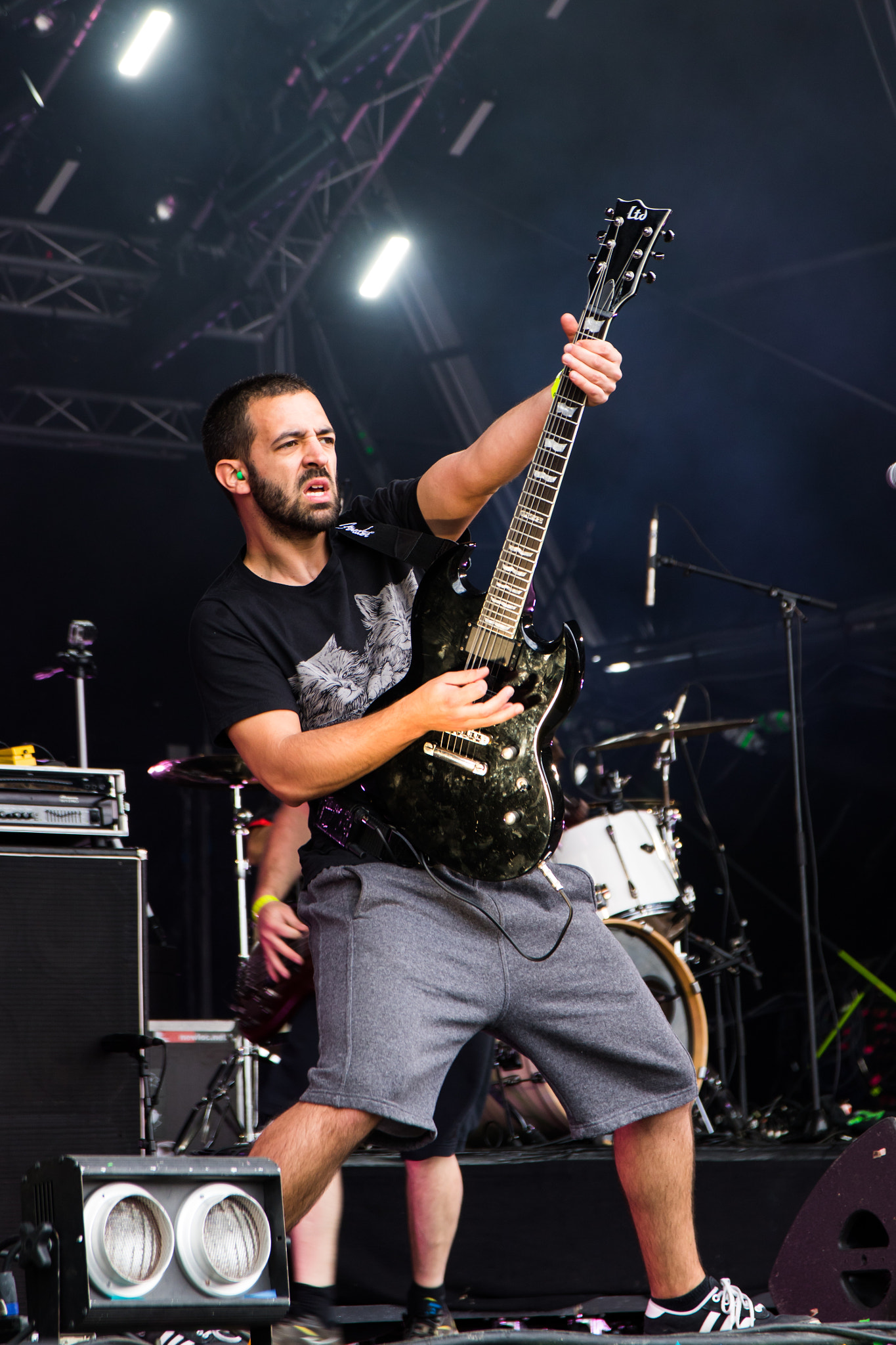 Sigma 17-70mm F2.8-4 DC Macro OS HSM sample photo. Alea jacta est, hellfest 2016 photography