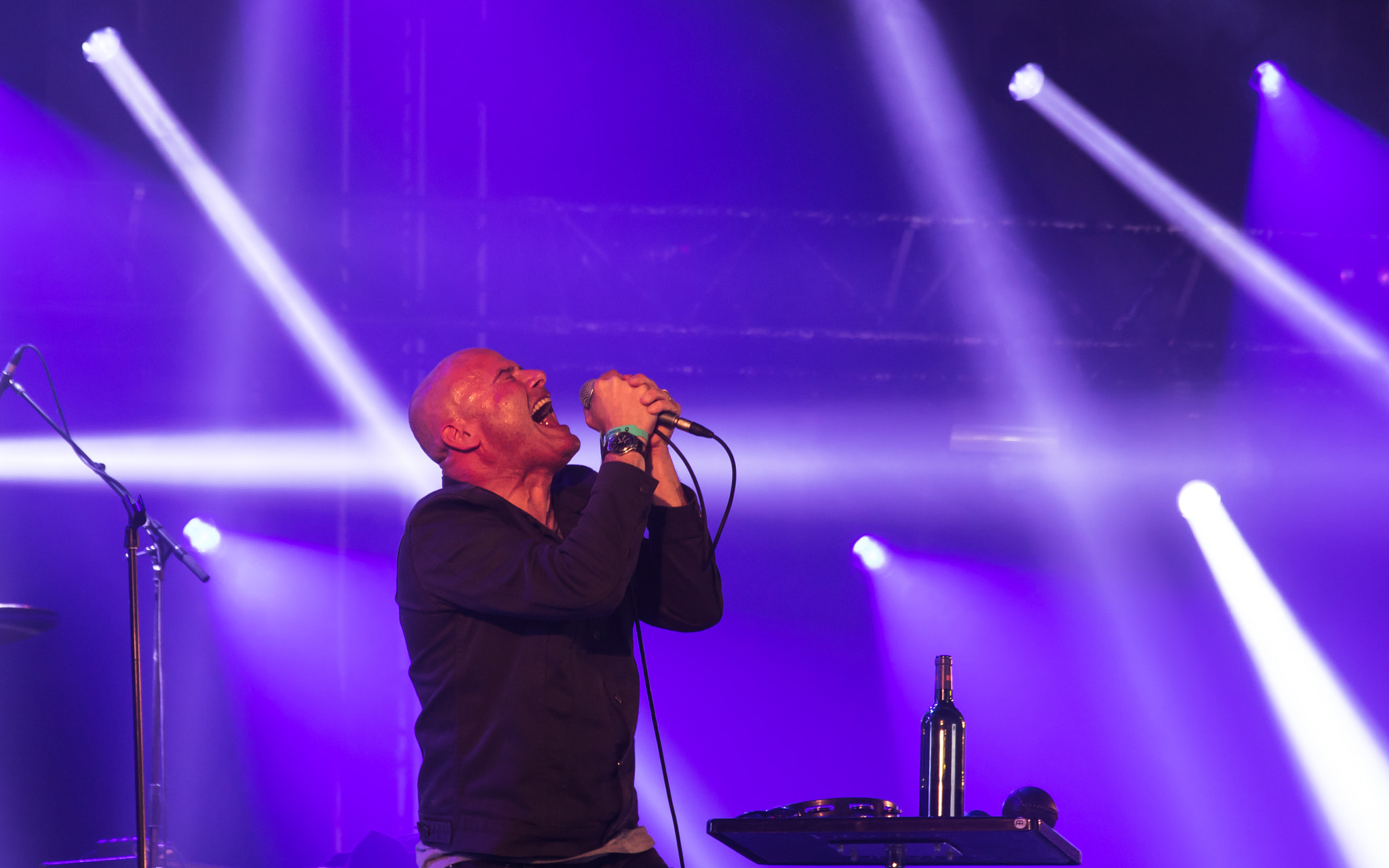 Sigma 17-70mm F2.8-4 DC Macro OS HSM sample photo. Goatsnake, hellfest 2016 photography