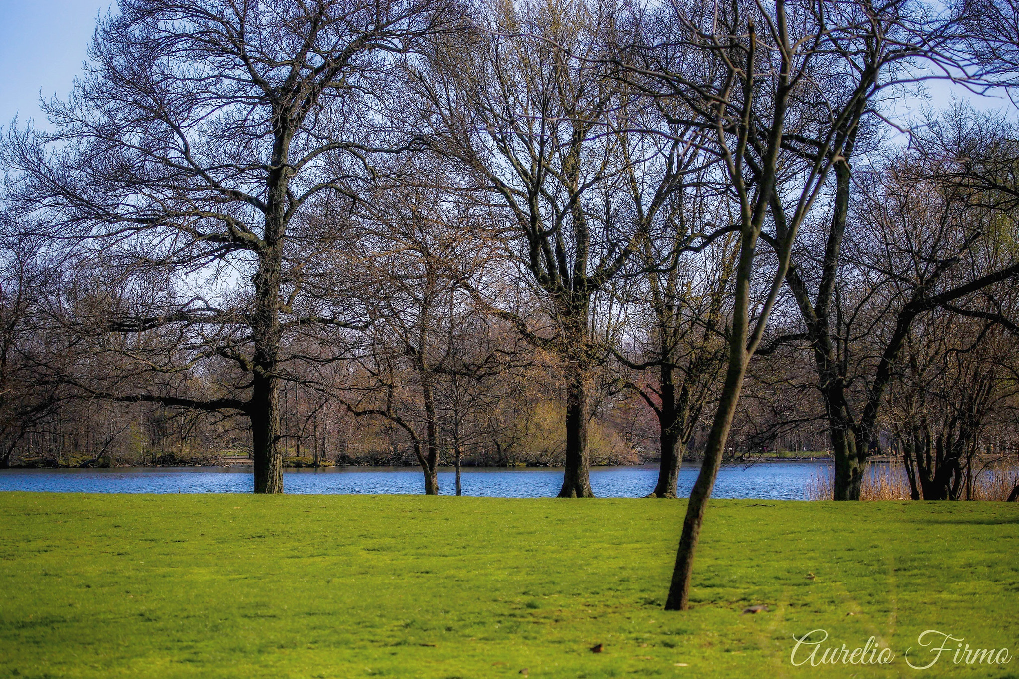 Canon EF 100-400mm F4.5-5.6L IS USM sample photo. Prospect park brooklyn newyork photography