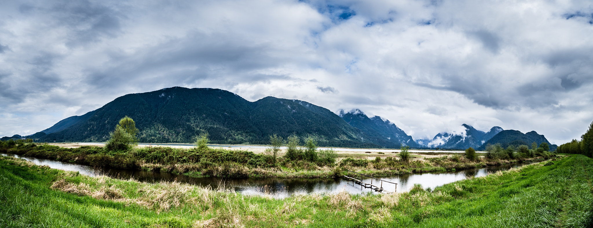 Nikon D600 + Nikon AF Nikkor 20mm F2.8D sample photo. Pitt marsh photography