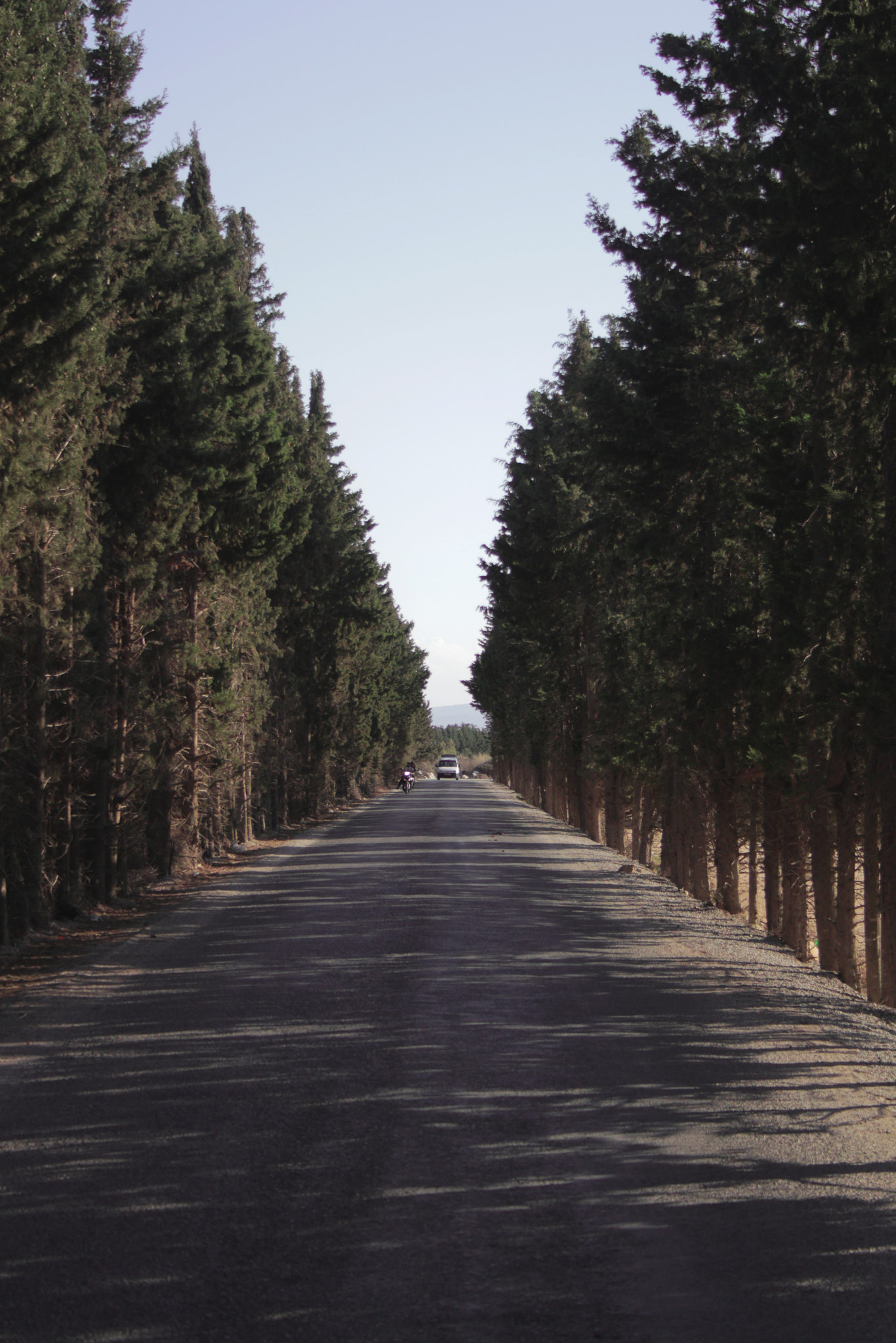 Canon EF-S 18-55mm F3.5-5.6 II sample photo. Road direction photography