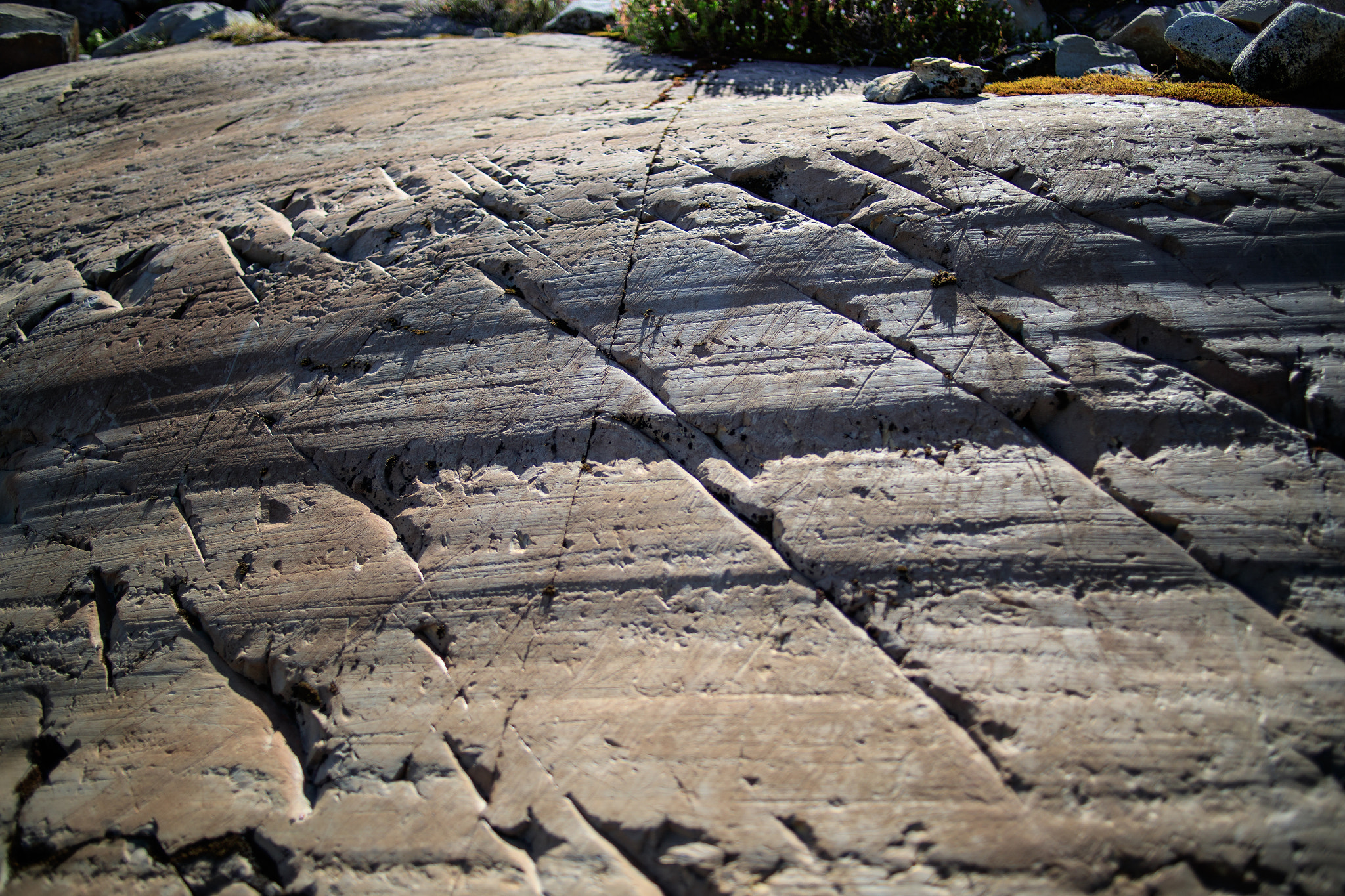 Canon EOS-1D X Mark II sample photo. Glacial polish photography