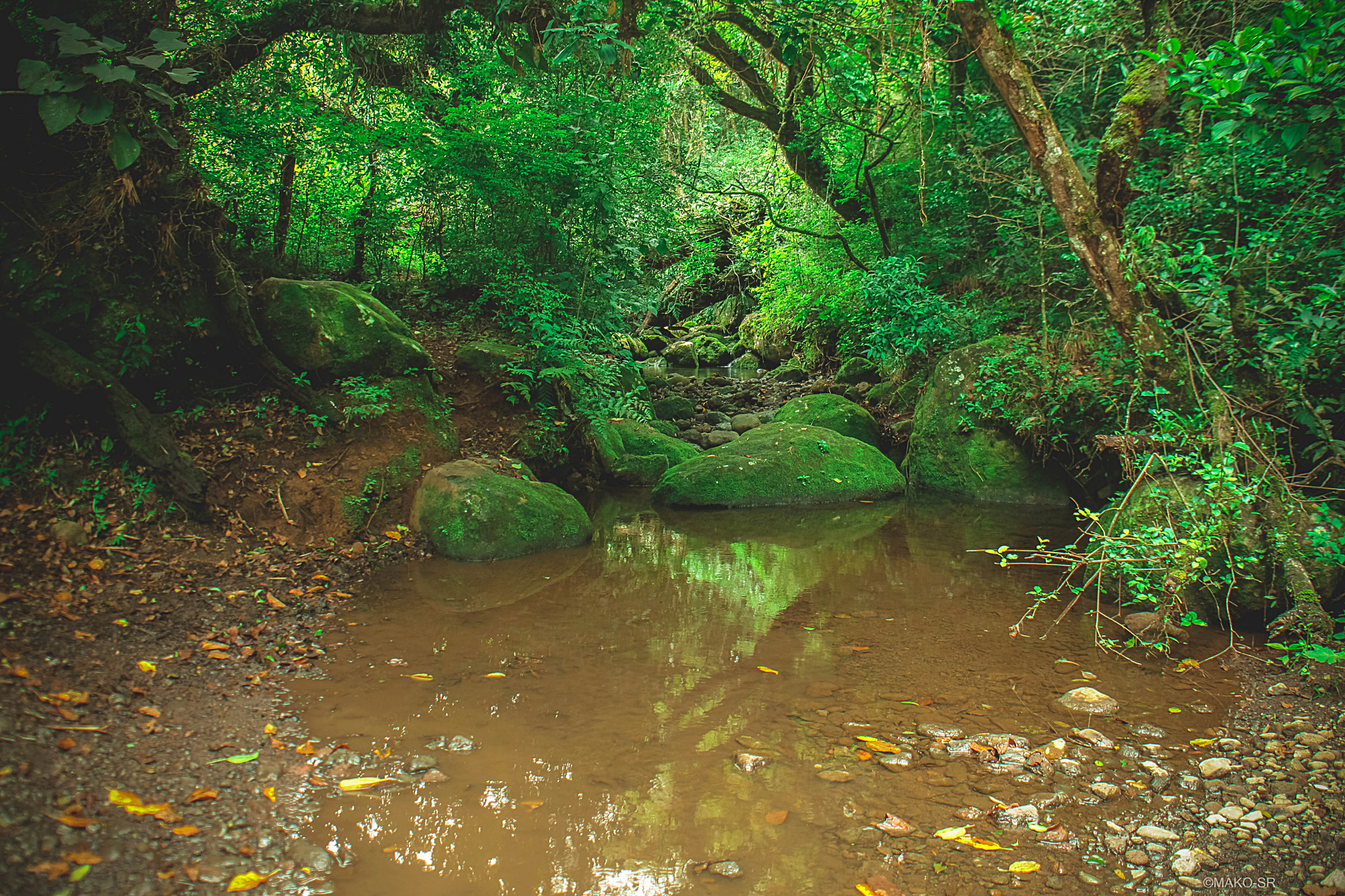 Sigma 18-50mm F2.8-4.5 DC OS HSM sample photo. (tranquilidad) photography