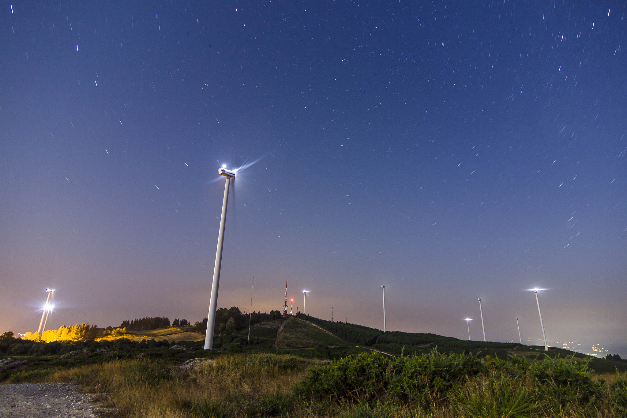 Tokina AT-X Pro 12-24mm F4 (IF) DX sample photo. Wind star 2 photography