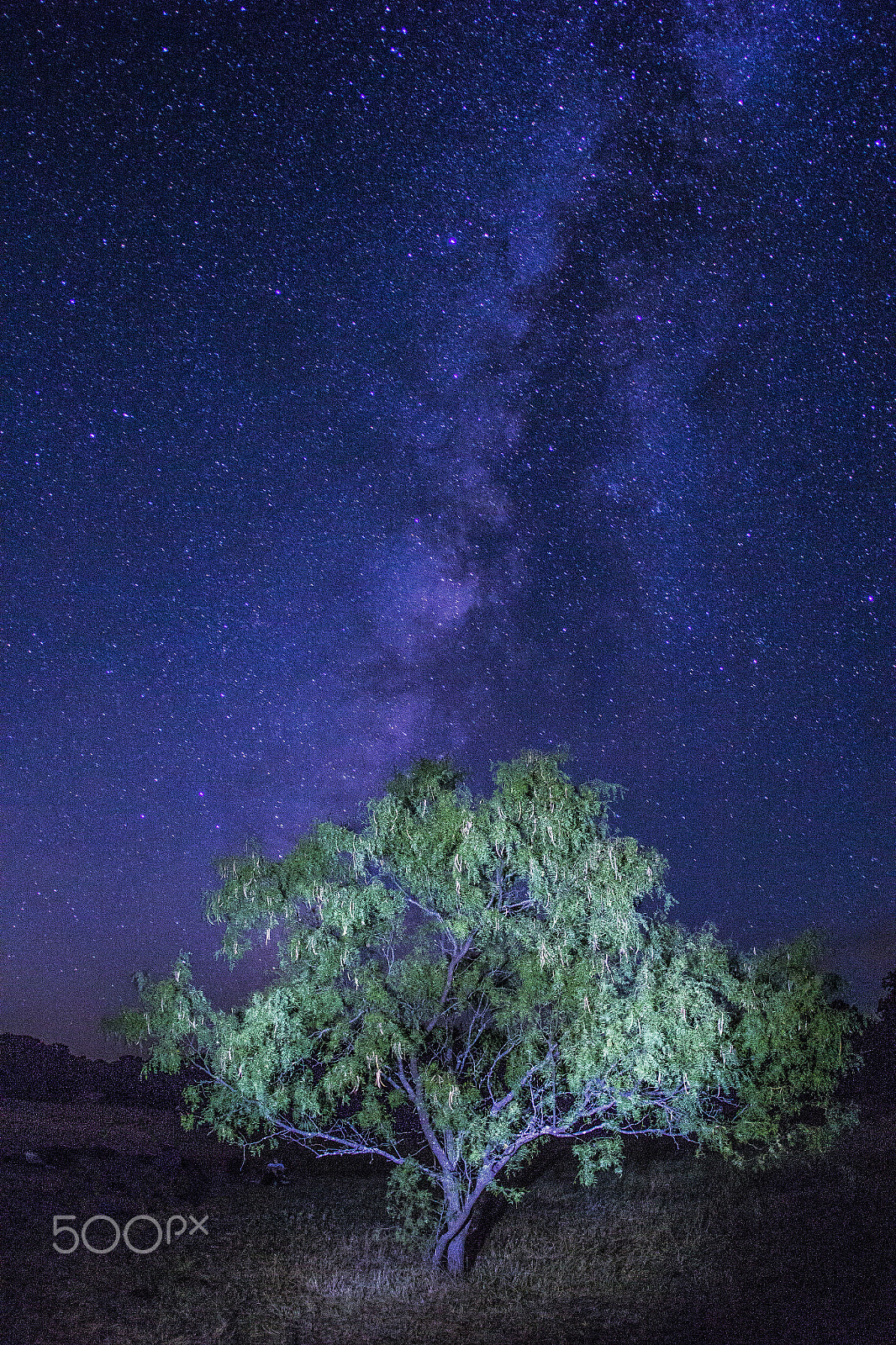 Canon EF 15mm F2.8 Fisheye sample photo. Galaxytree photography