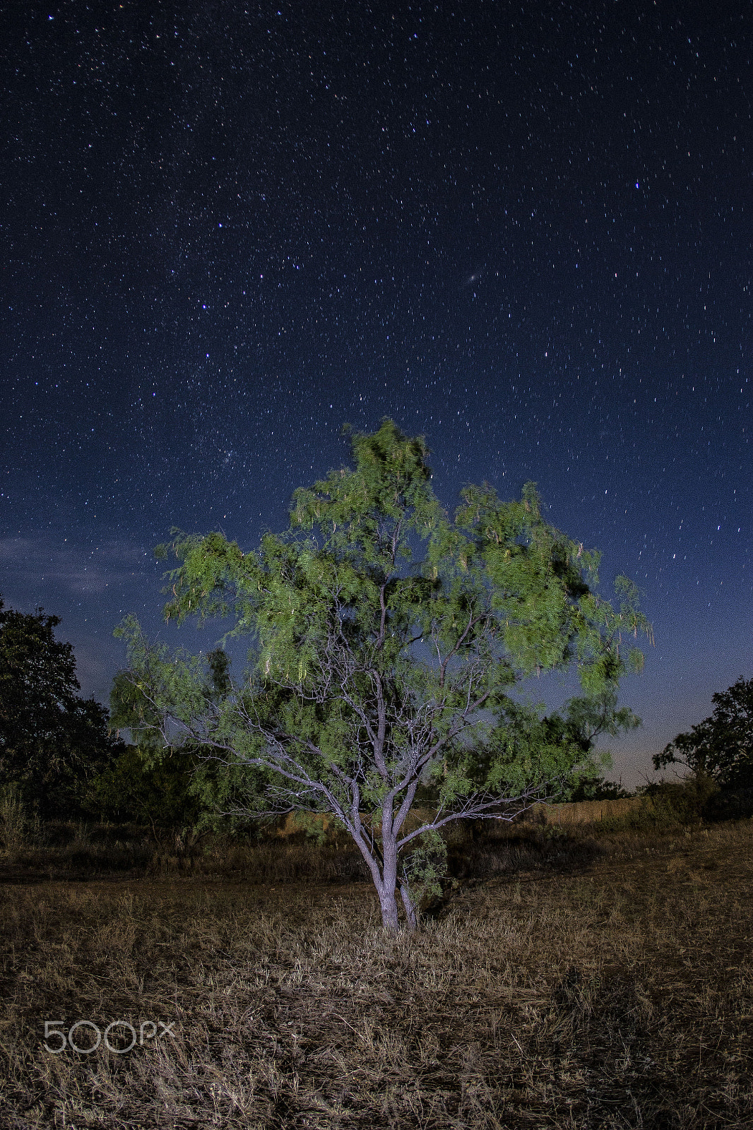 Canon EOS 60D + Canon EF 15mm F2.8 Fisheye sample photo. Galtree photography