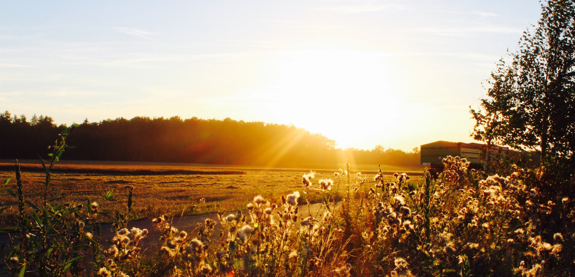 Canon EF-S 18-55mm F3.5-5.6 III sample photo. Sonnenuntergang samstag abend bei zwickau photography