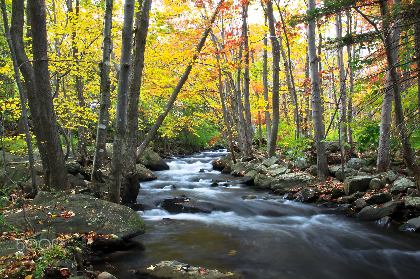 Canon EOS 50D sample photo. River in autumn photography