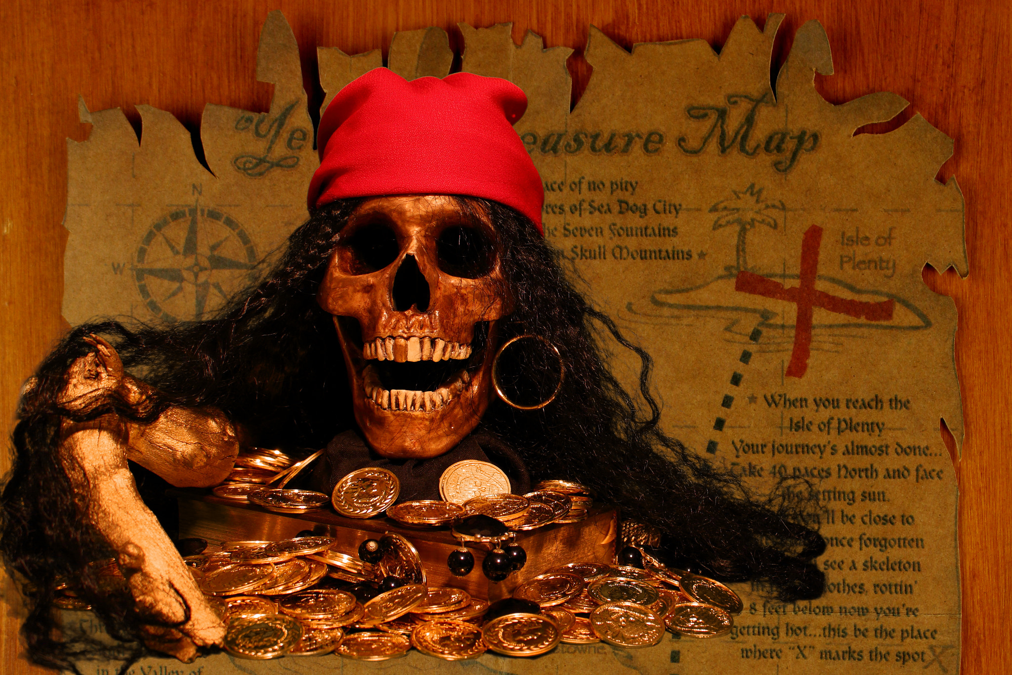 pirate still life