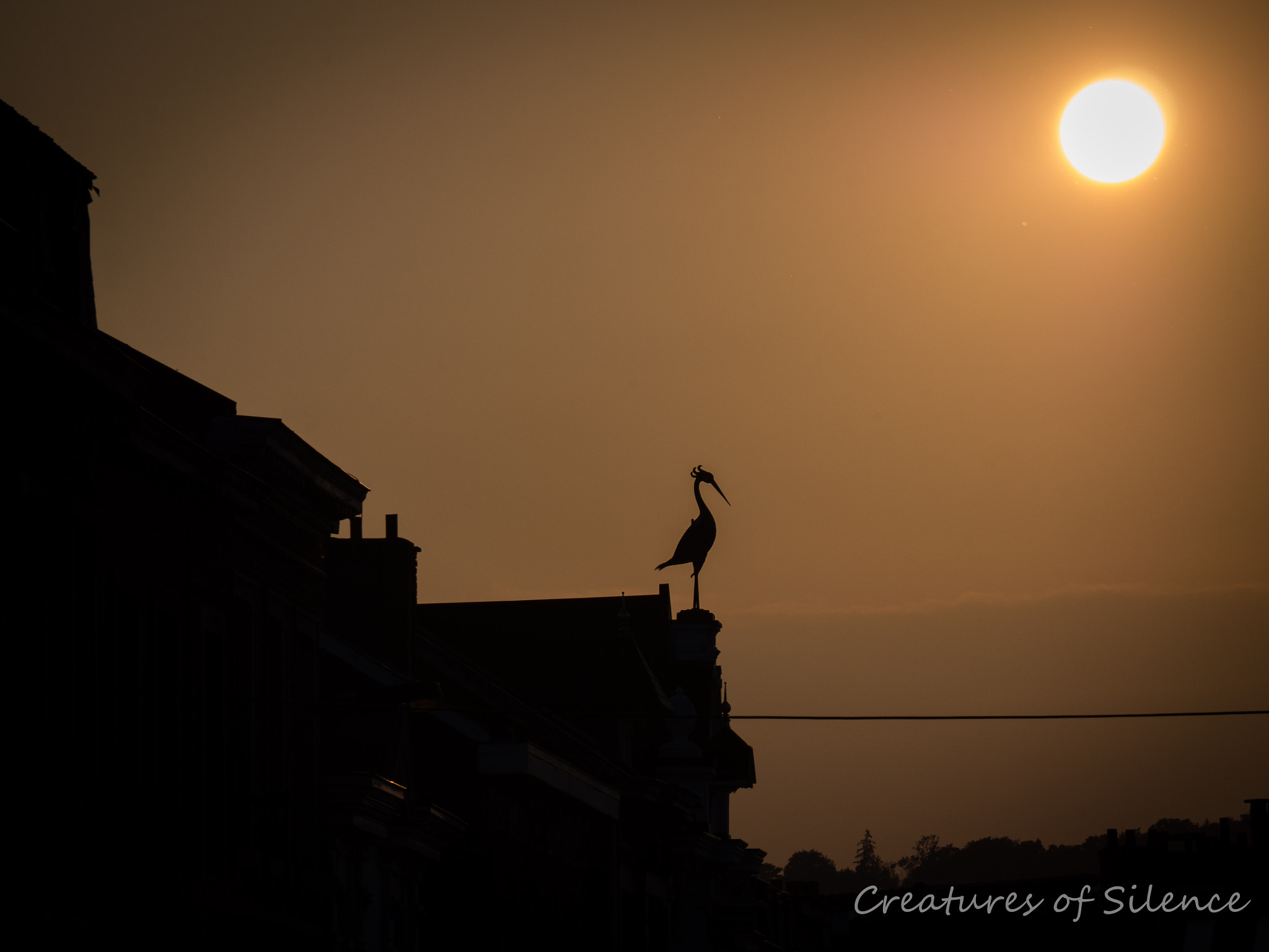 Panasonic Lumix DMC-GH3 sample photo. Who's next? photography