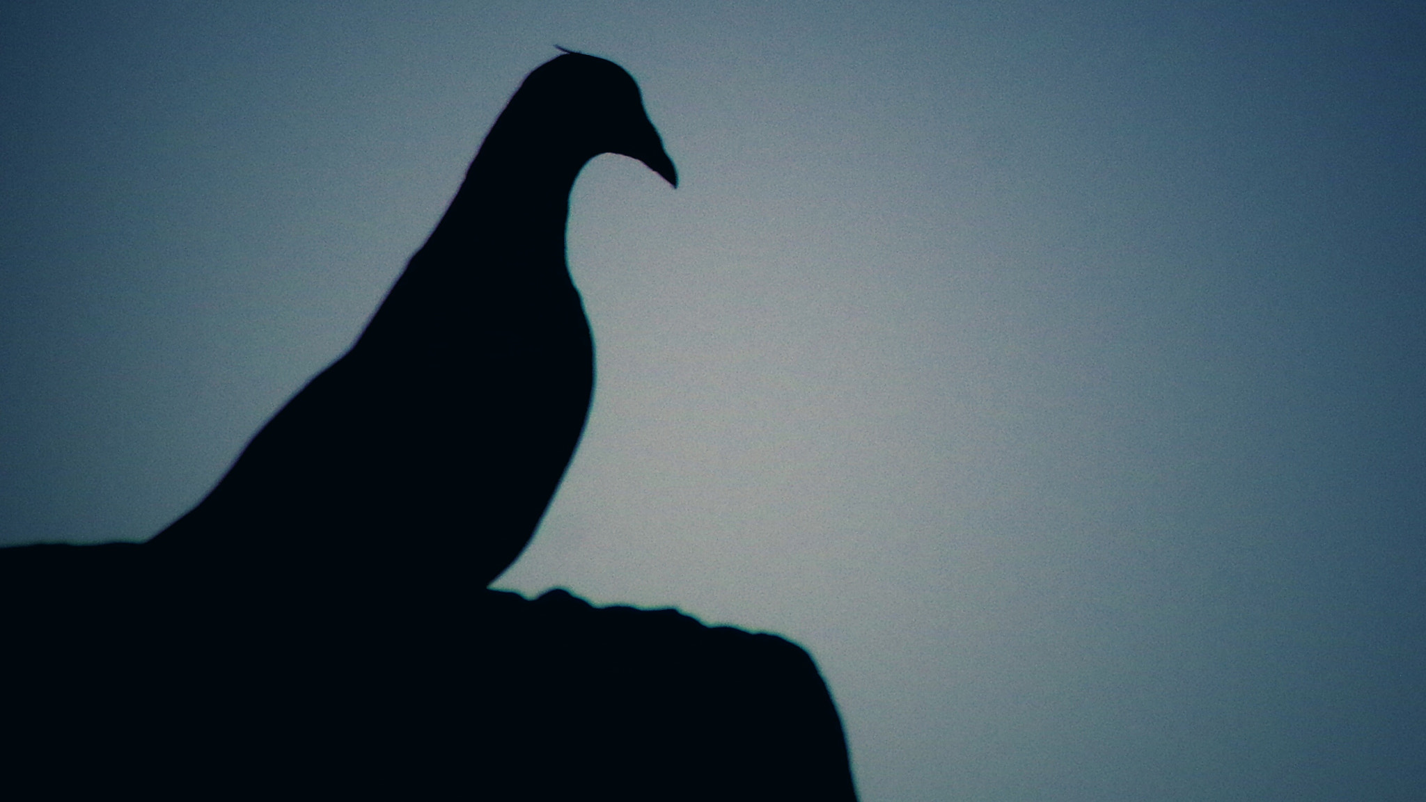 Pentax K-01 sample photo. Thinking watching photography