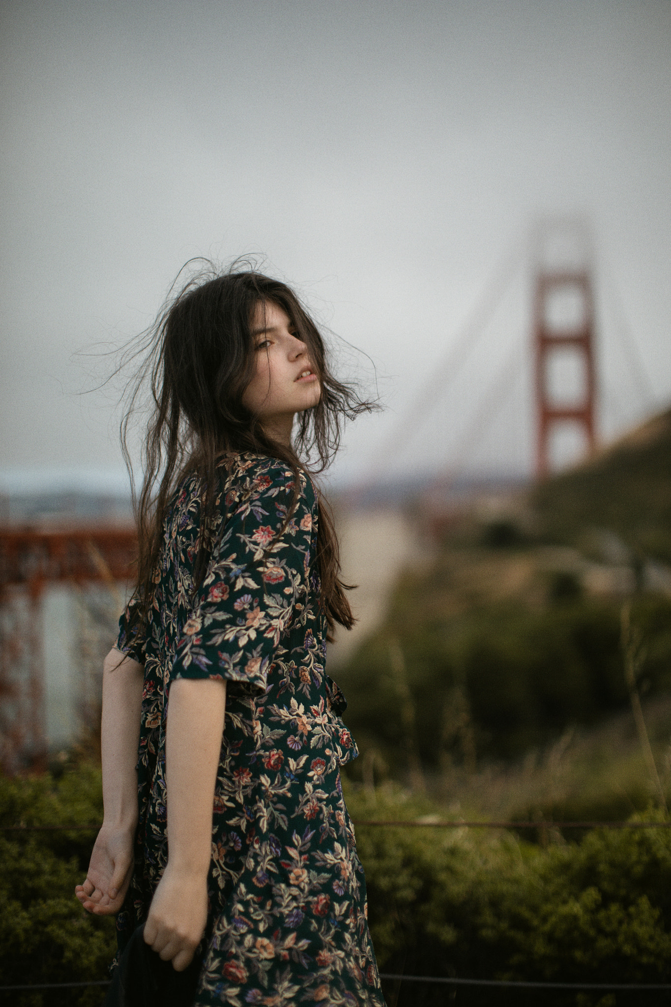 Canon EOS 5DS + Canon EF 50mm F1.2L USM sample photo. Golden gate photography