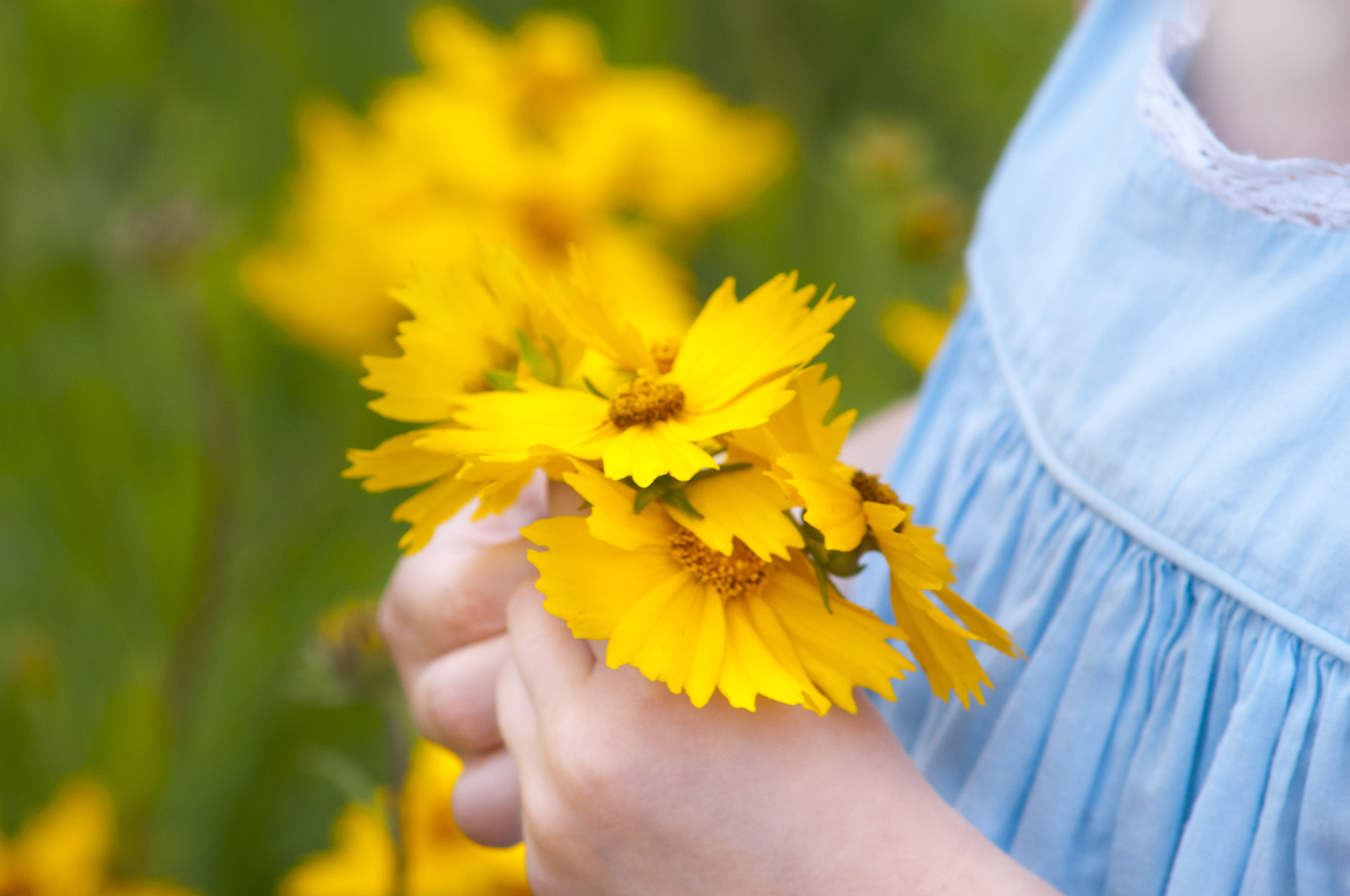 Nikon D300 + AF Zoom-Nikkor 70-210mm f/4 sample photo. Yellow daisy bouquet photography