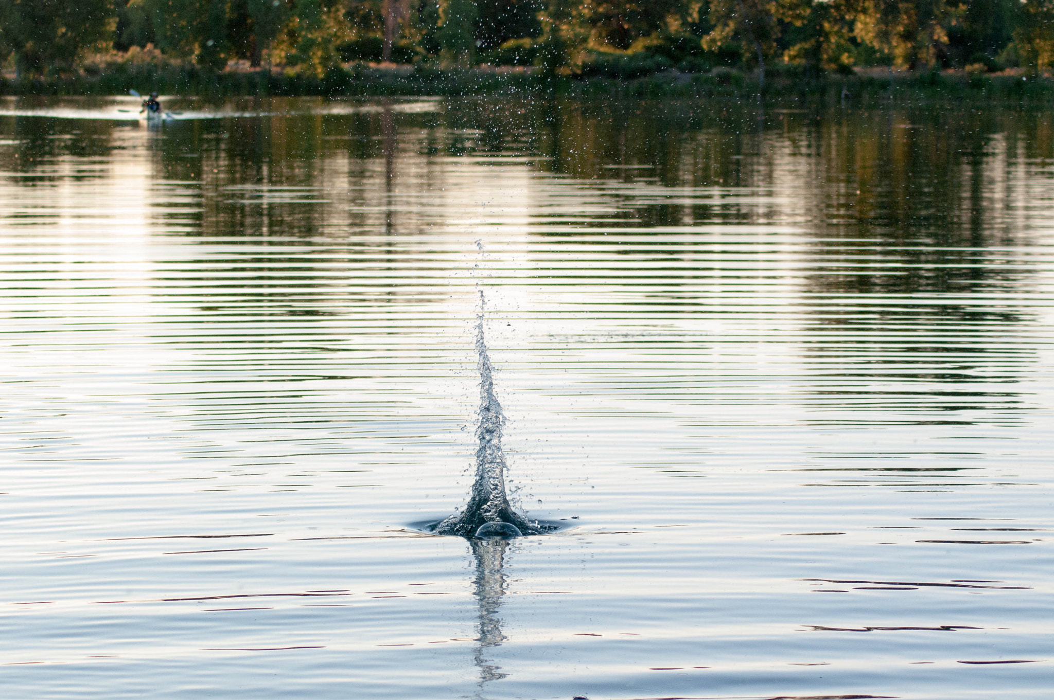 Pentax K20D sample photo. Splash in the lake photography