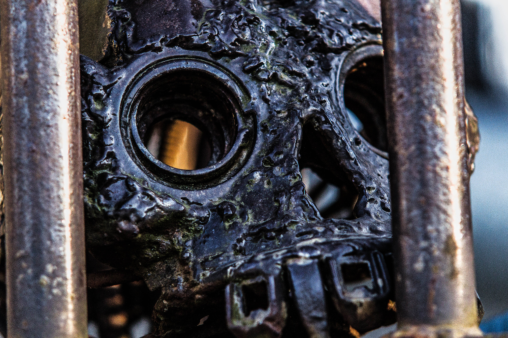 Sigma APO 50-150mm f/2.8 [II] EX DC HSM sample photo. Skull photography
