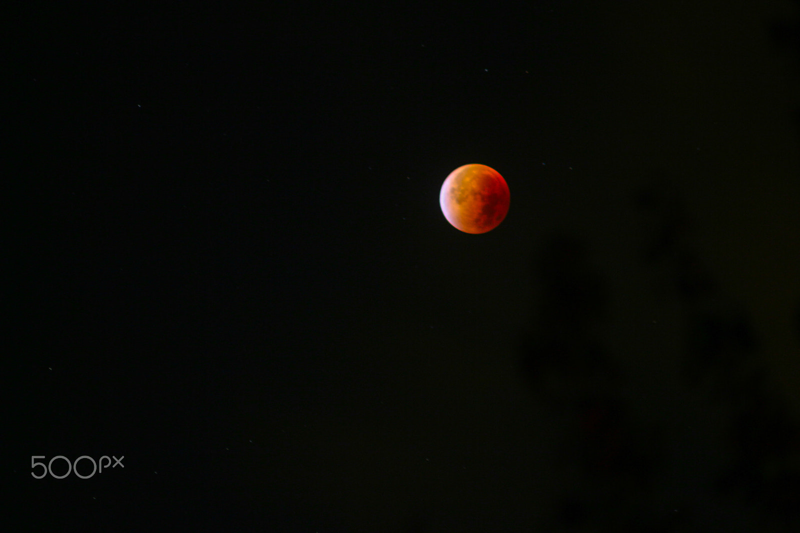 Canon EOS 700D (EOS Rebel T5i / EOS Kiss X7i) + Canon EF 70-210mm f/4 sample photo. Bloodmoon 2015 photography