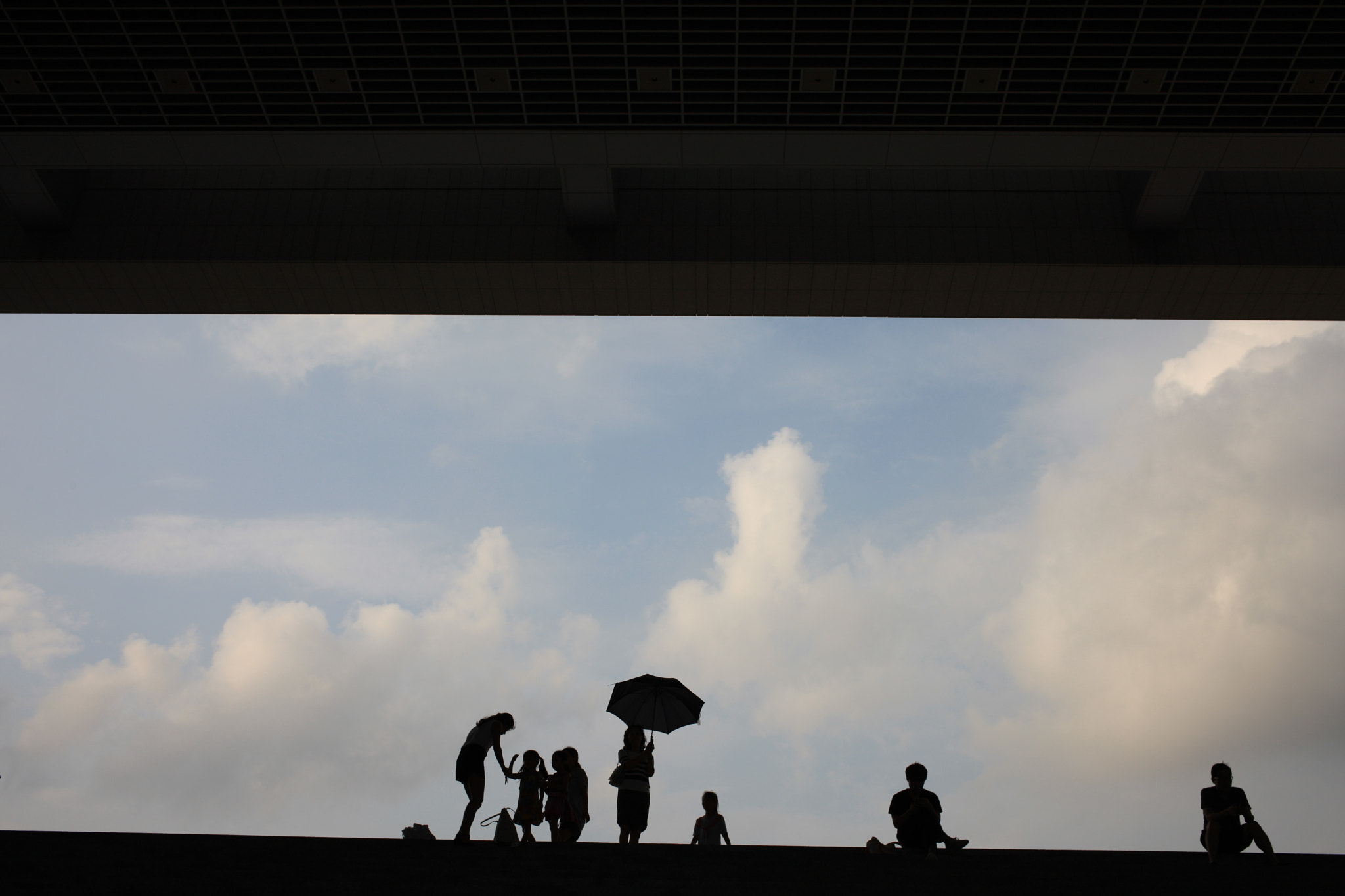 Canon EOS-1Ds Mark III sample photo. A summer day photography