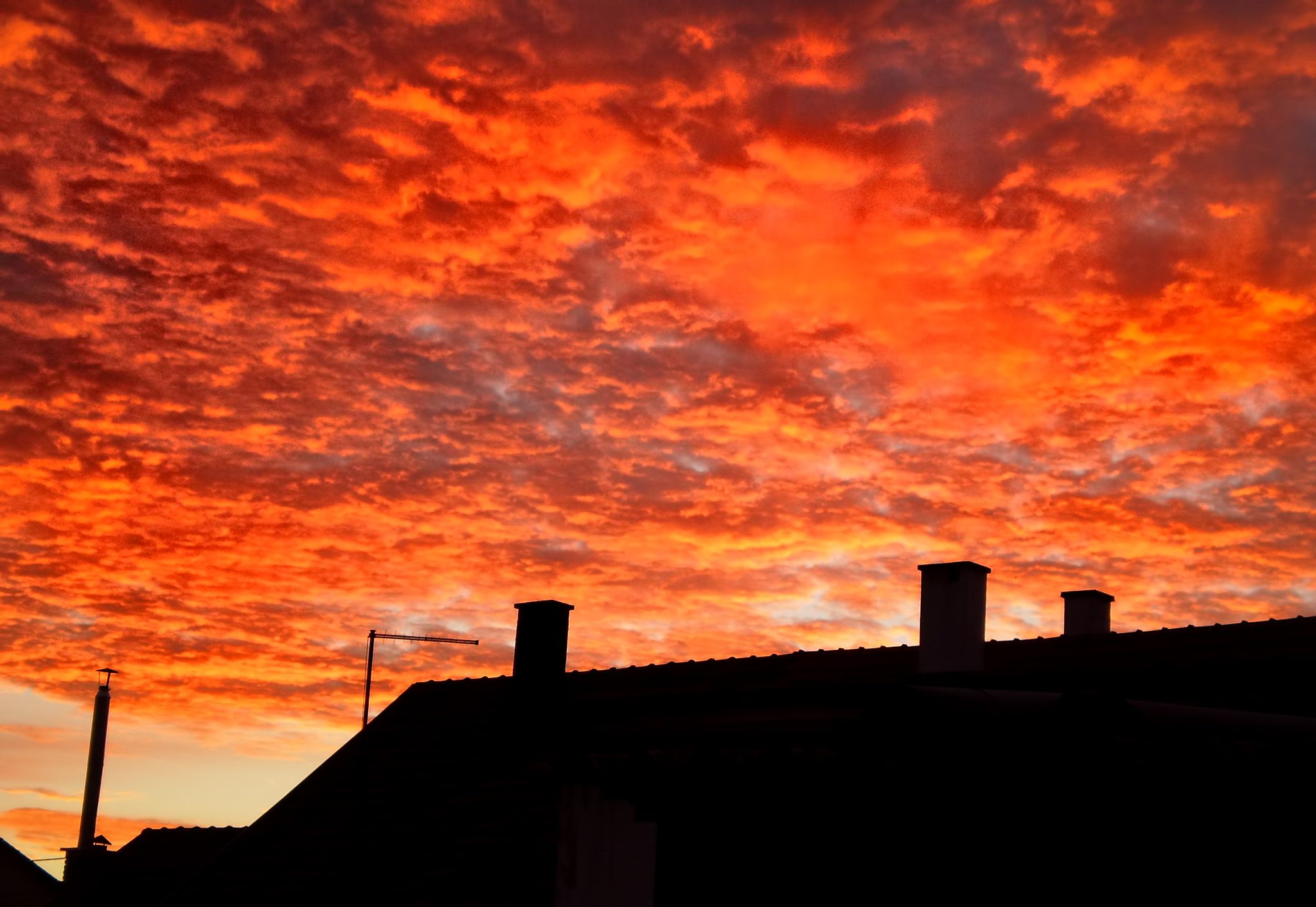 Olympus FE20,X15,C25 sample photo. Fire in the sky photography