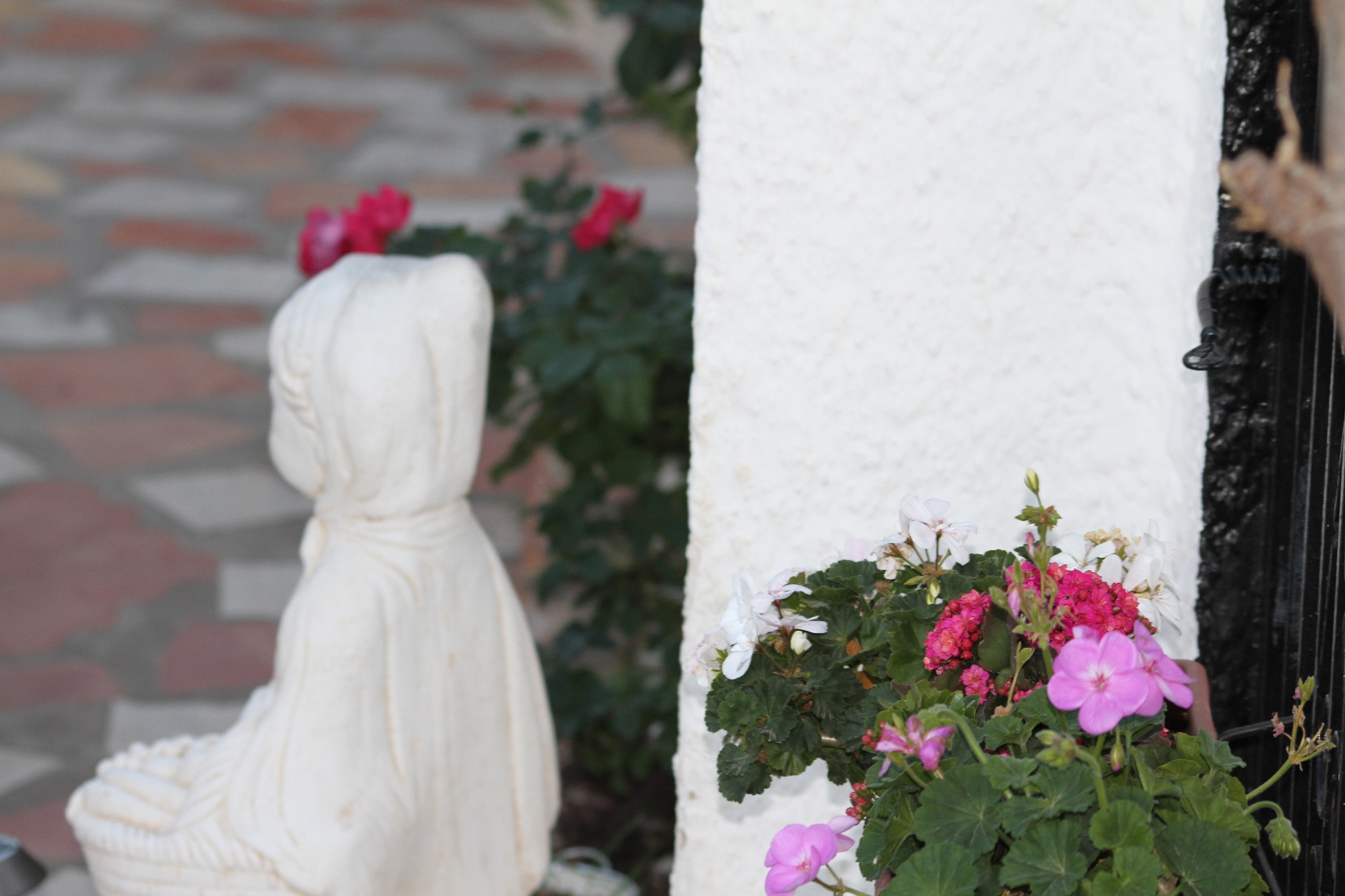 Sigma 50-200mm F4-5.6 DC OS HSM sample photo. Belleza photography