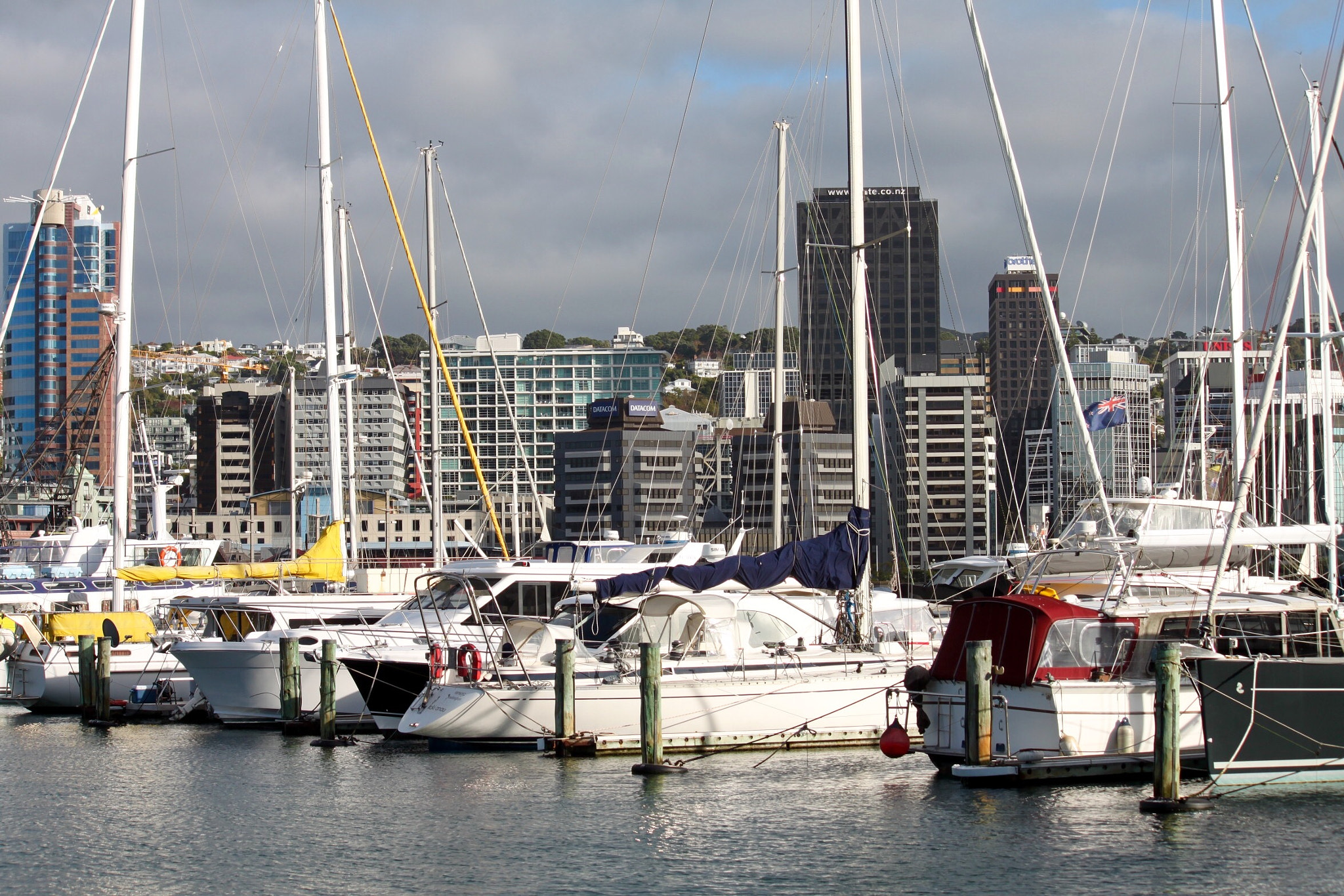 Canon EF-S 55-250mm F4-5.6 IS sample photo. Wellington waterfront nz. photography